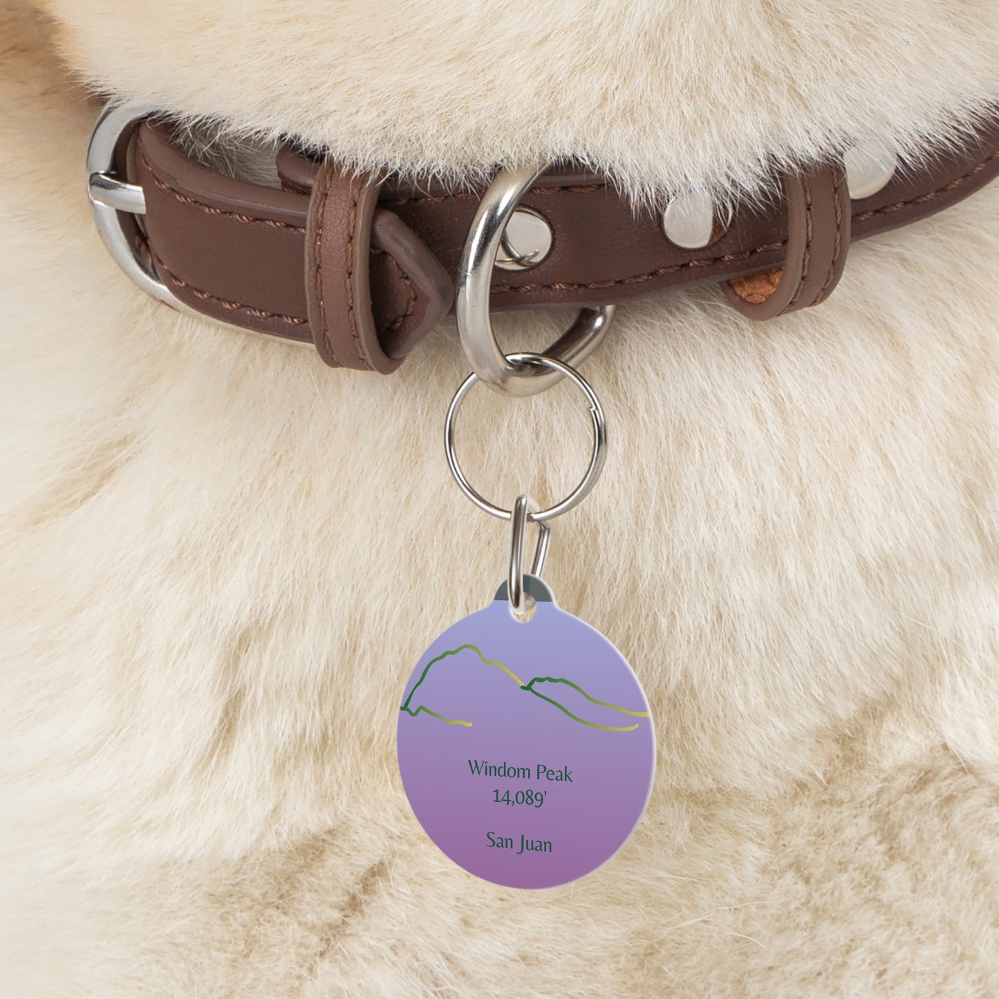 Windom Peak 14er Pet Tag