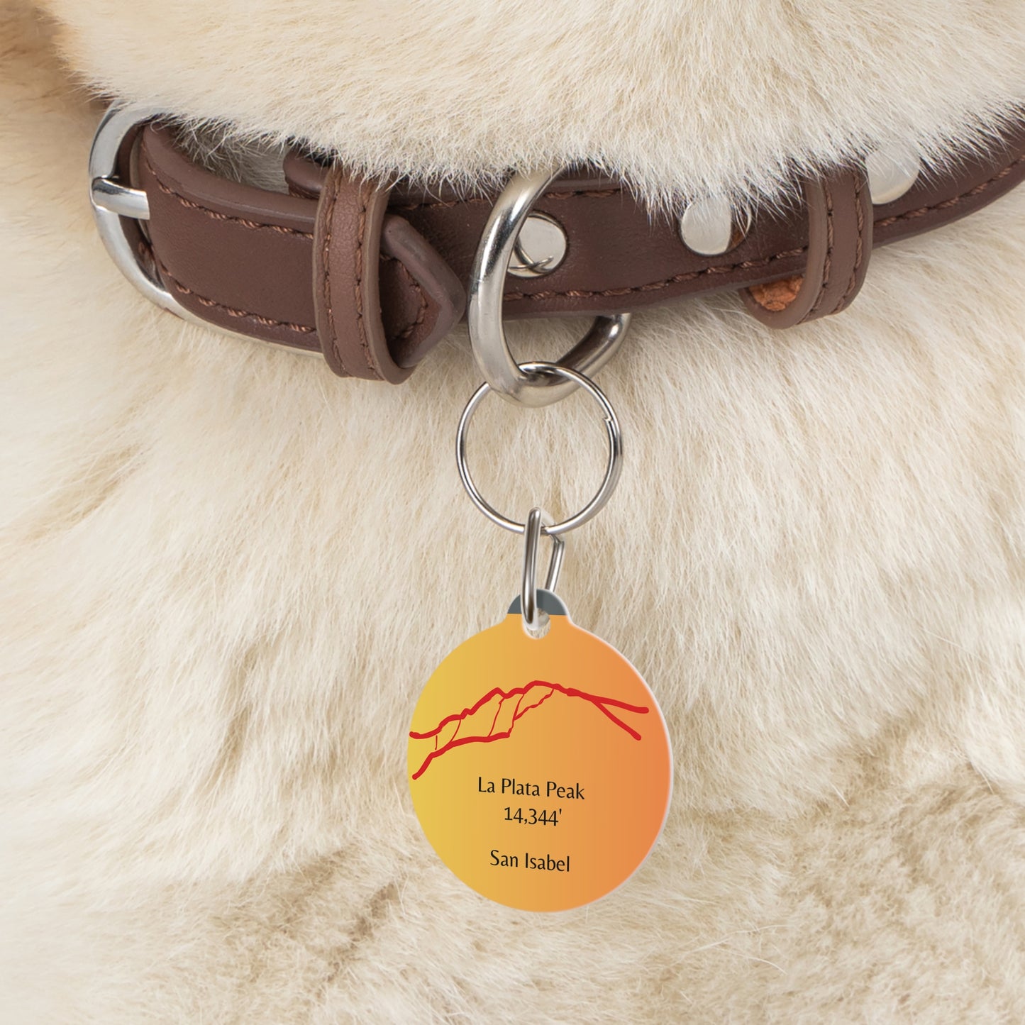La Plata Peak Pet Tag