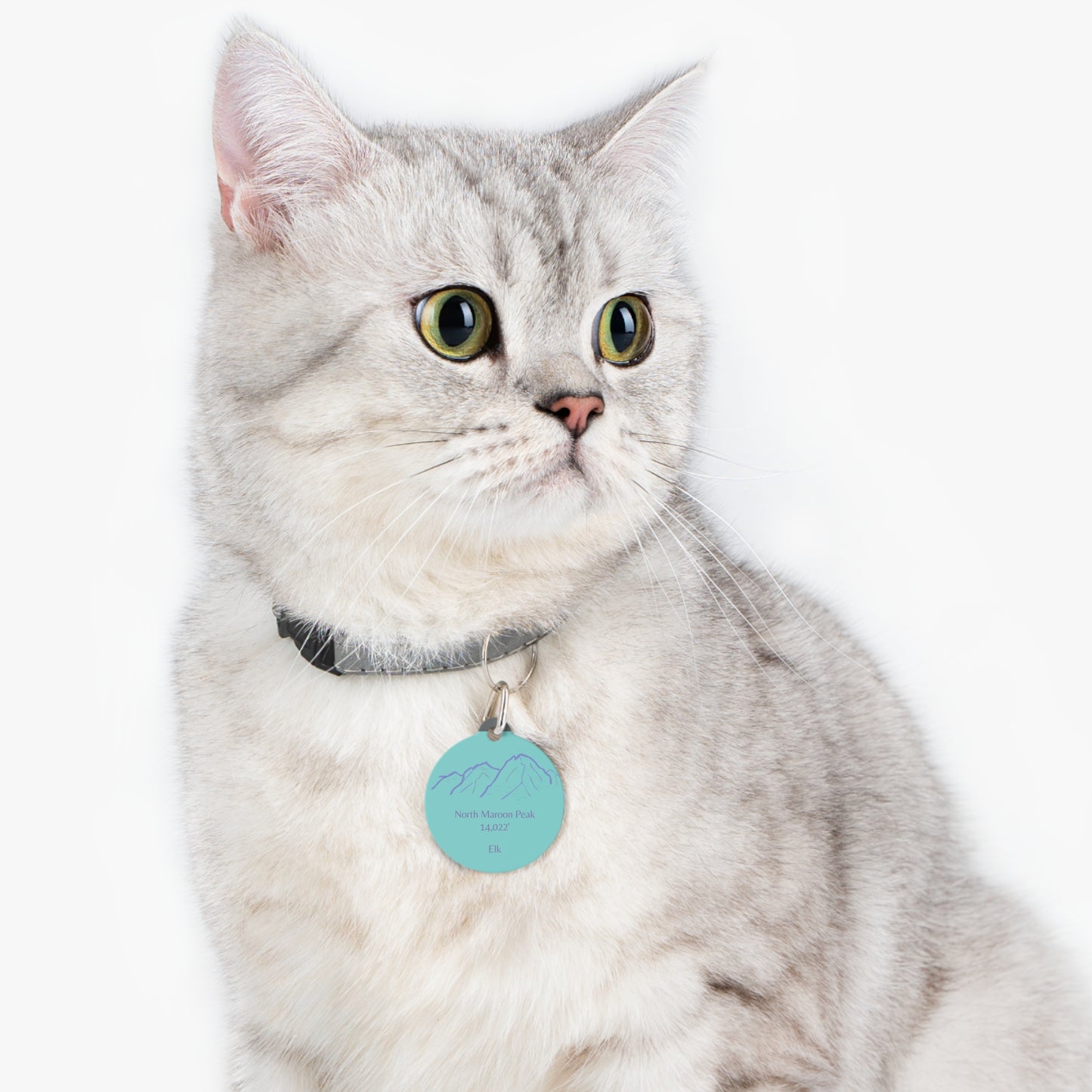 North Maroon Peak Pet Tag