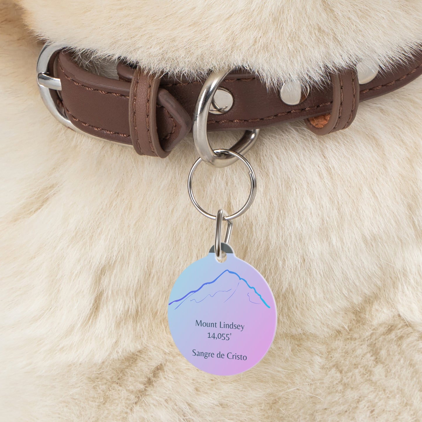 Mount Lindsey Pet Tag