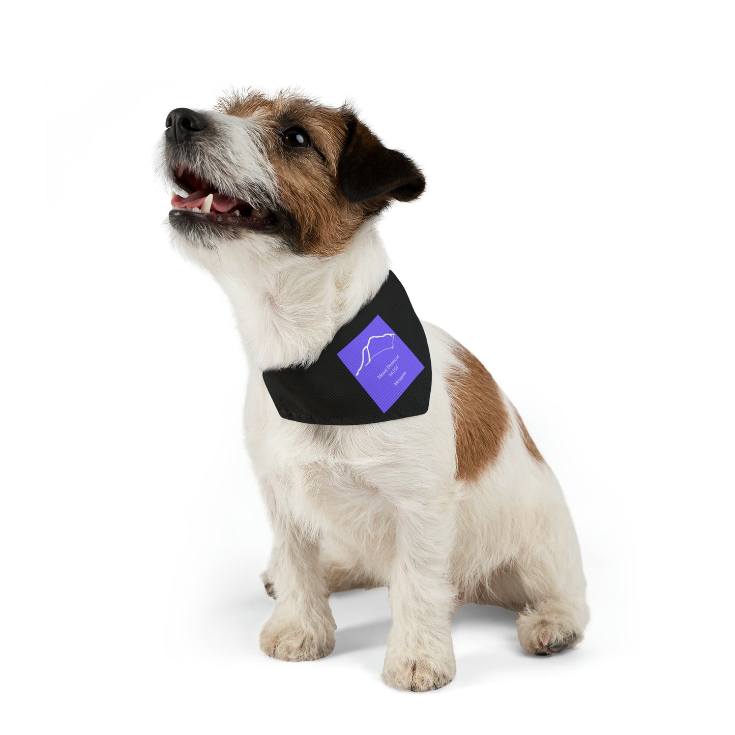Mount Democrat 14er Pet Bandana Collar