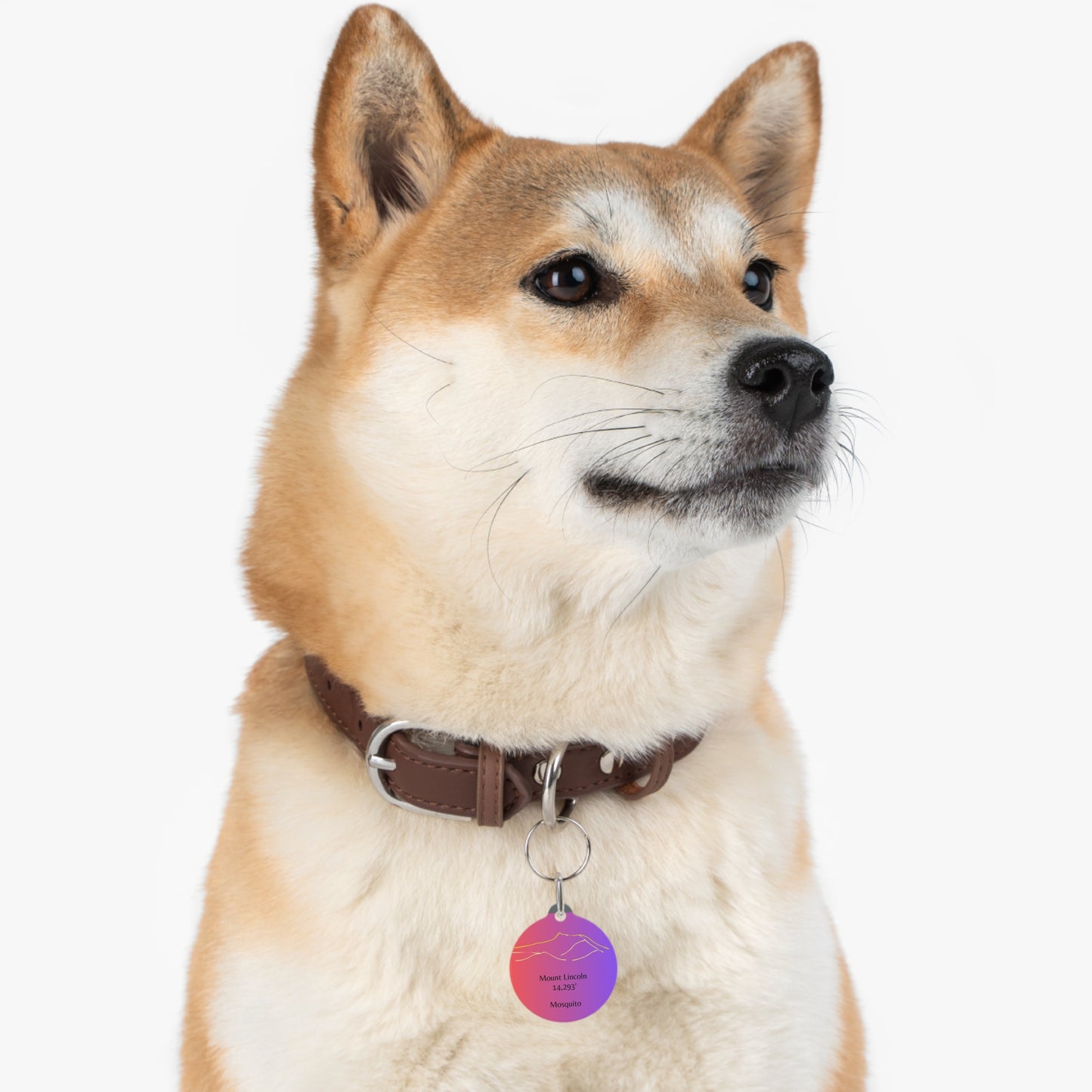 Mount Lincoln Pet Tag