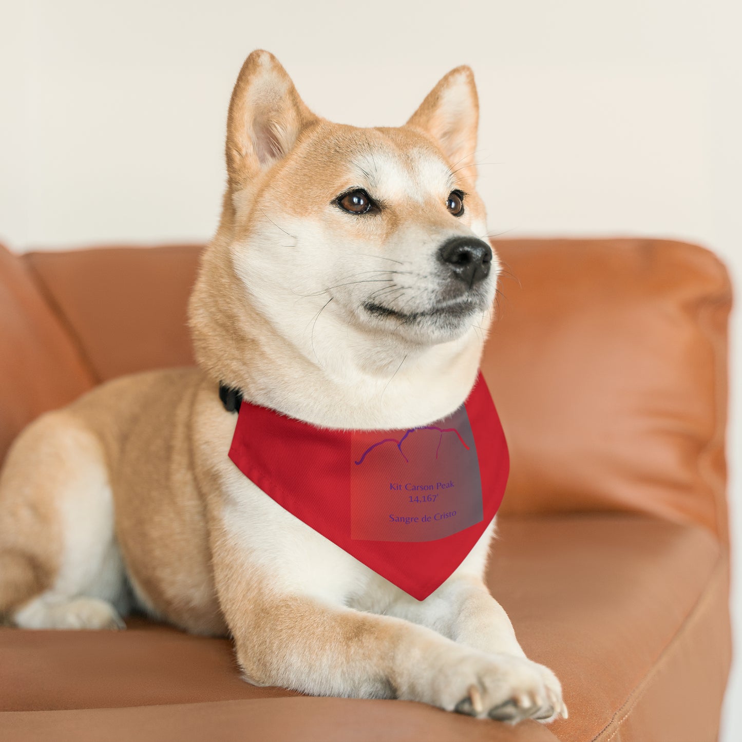 Kit Carson Peak 14er Pet Bandana Collar