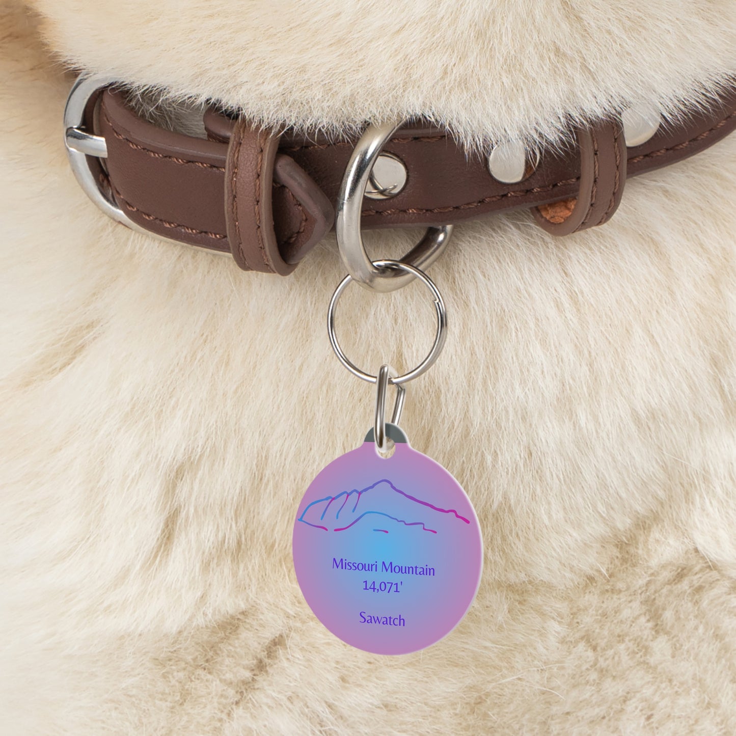 Missouri Mountain Pet Tag