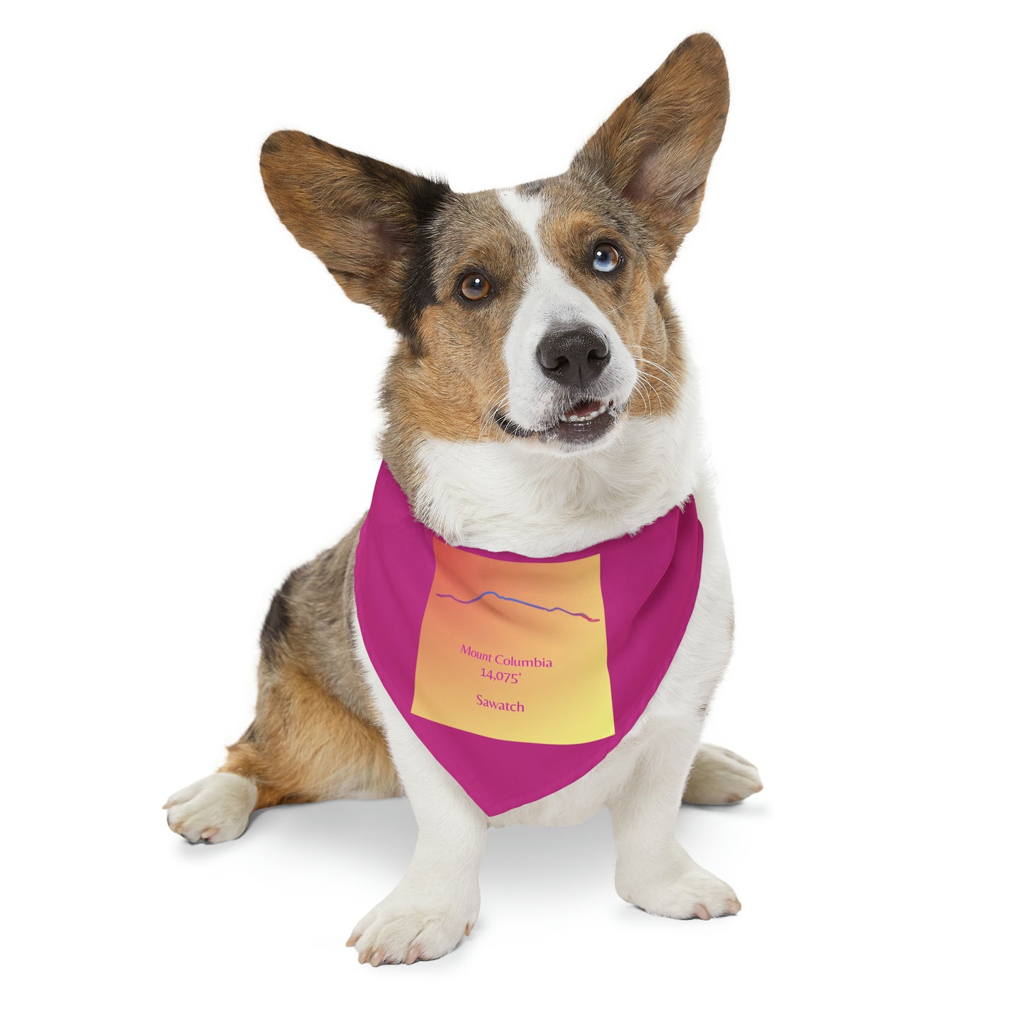 Mount Columbia 14er Pet Bandana Collar