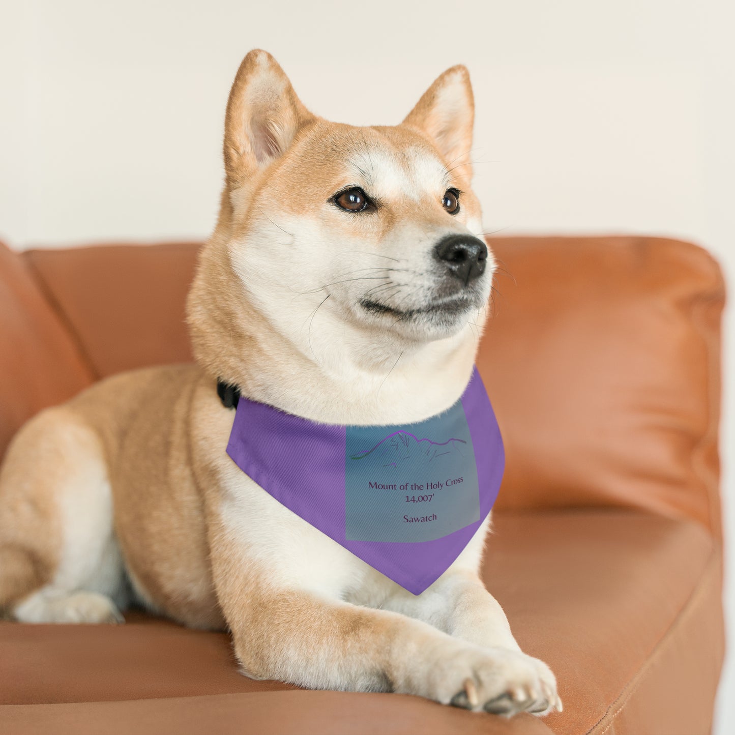 Mount of the Holy Cross 14er Pet Bandana Collar