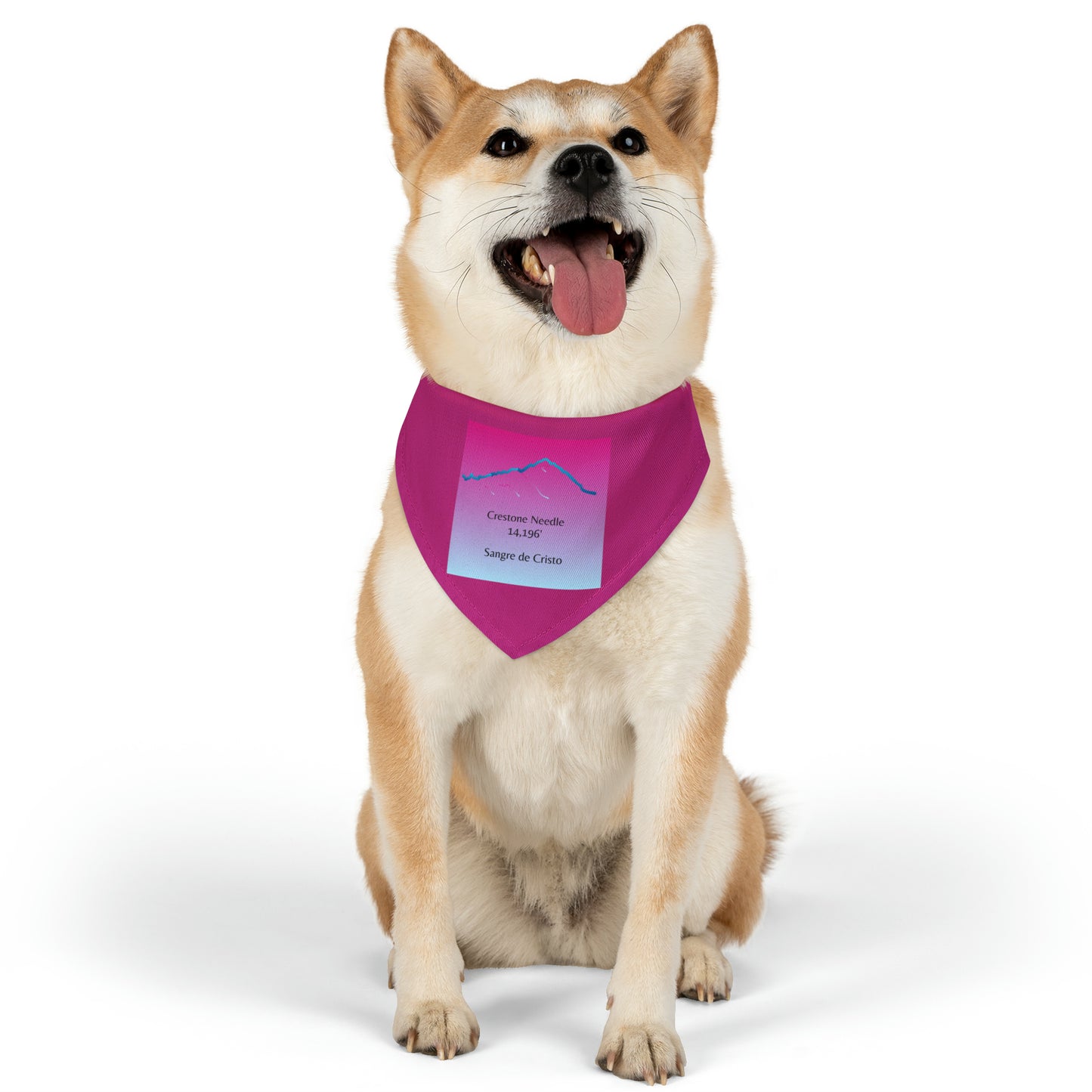 Crestone Needle 14er Dog Bandana 2