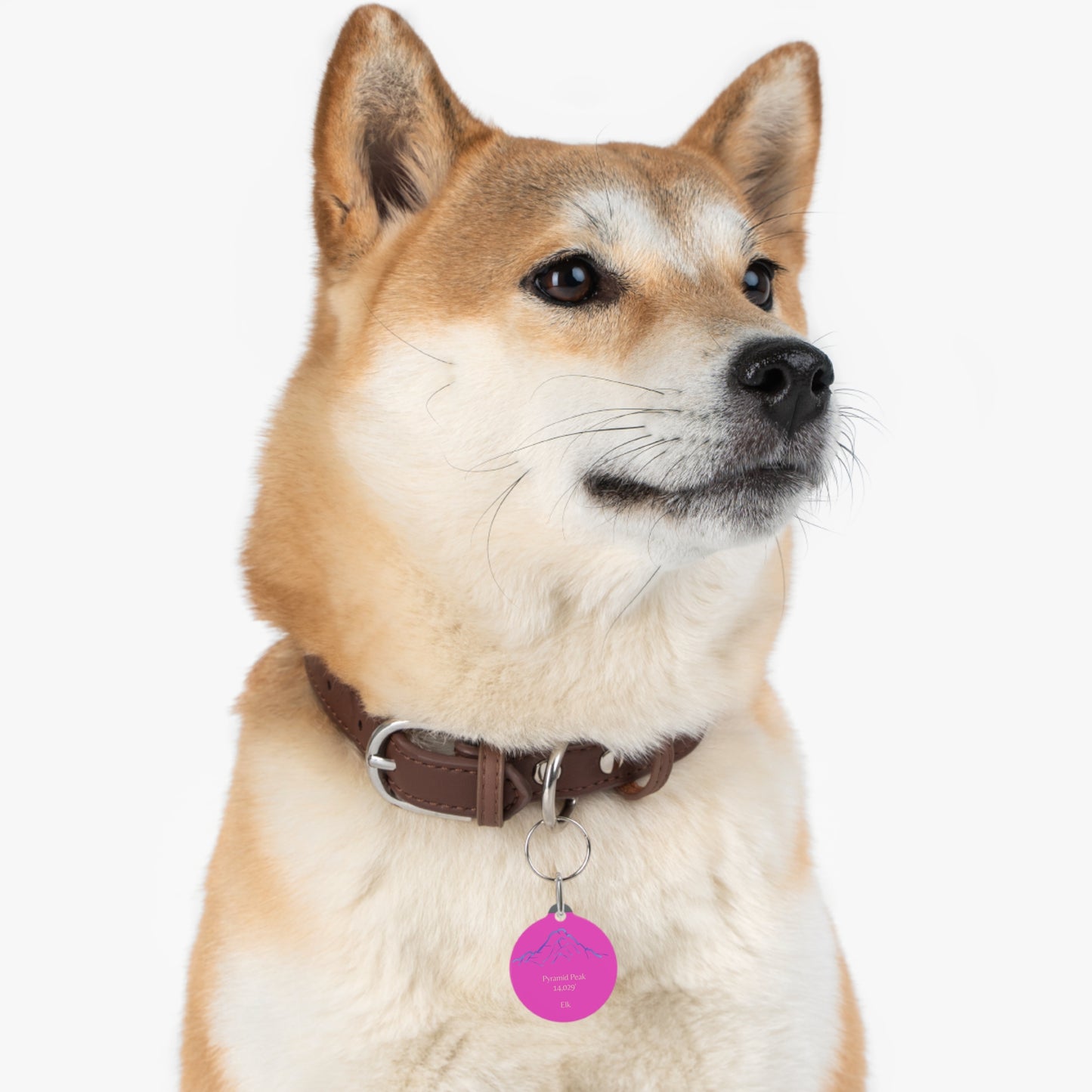 Pyramid Peak Pet Tag