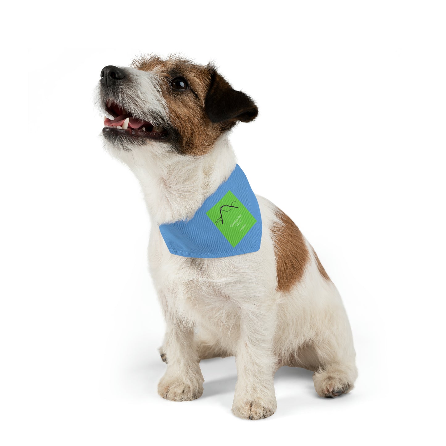 Quandary Peak 14er Pet Bandana Collar