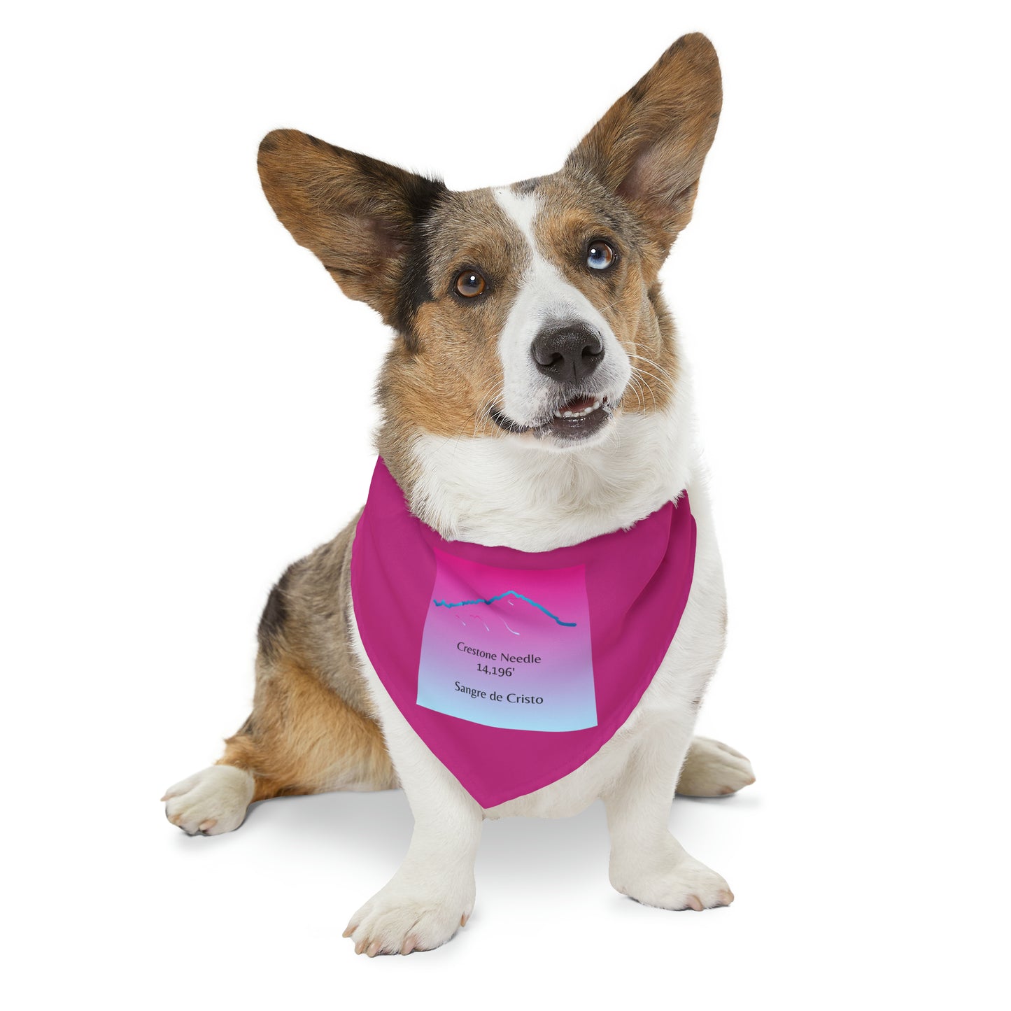 Crestone Needle 14er Dog Bandana 4