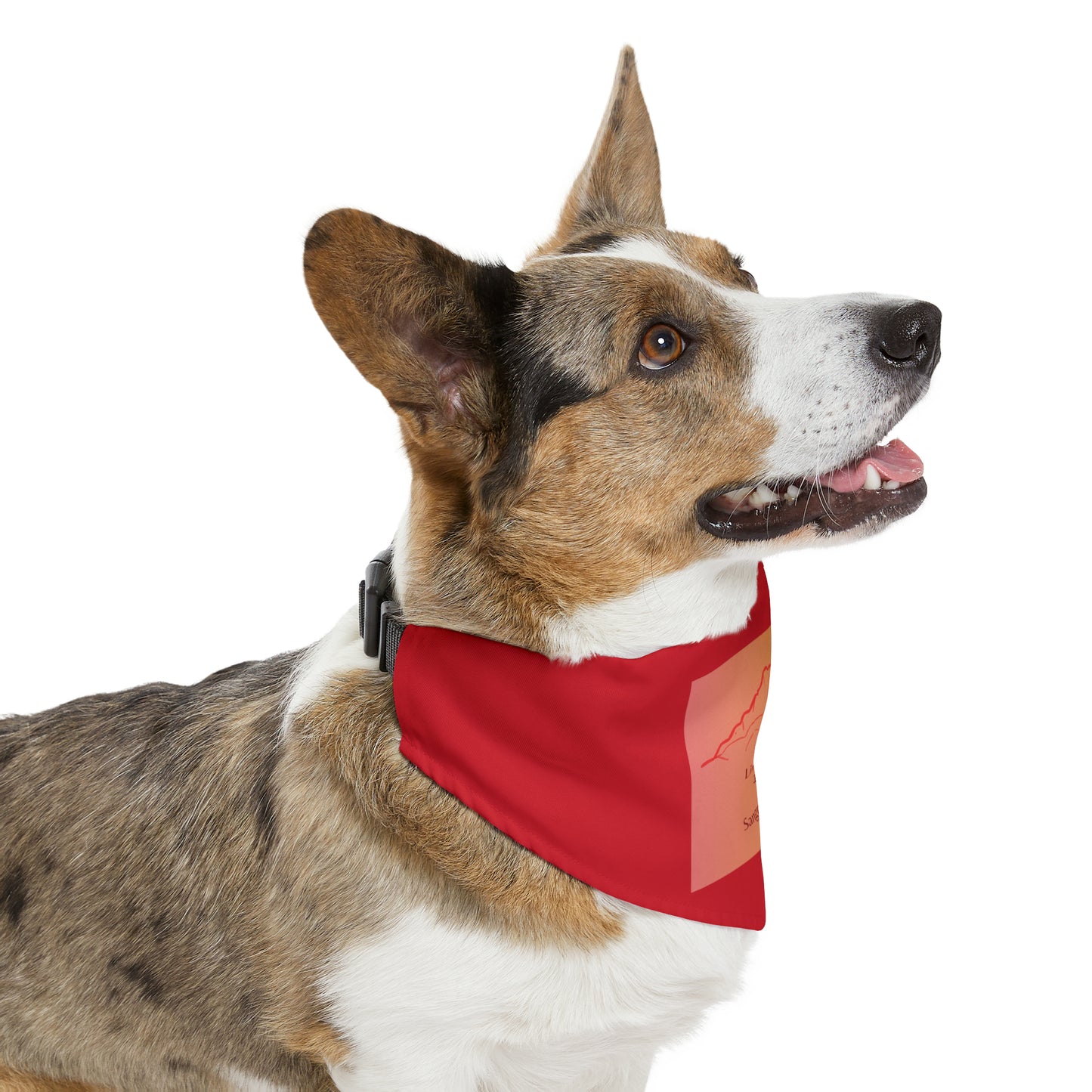 Little Bear Peak 14er Pet Bandana Collar