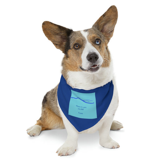 Mount Evans 14er Pet Bandana Collar