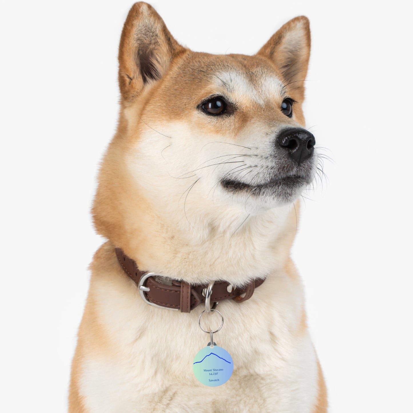Mount Shavano Pet Tag