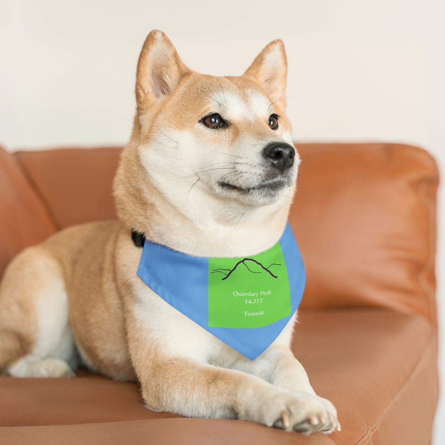 Quandary Peak 14er Pet Bandana Collar