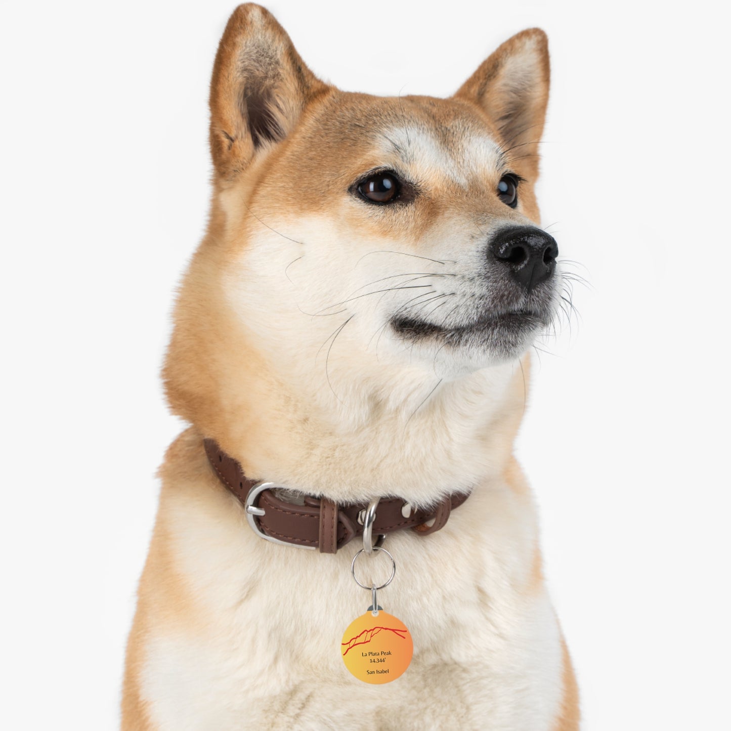 La Plata Peak Pet Tag