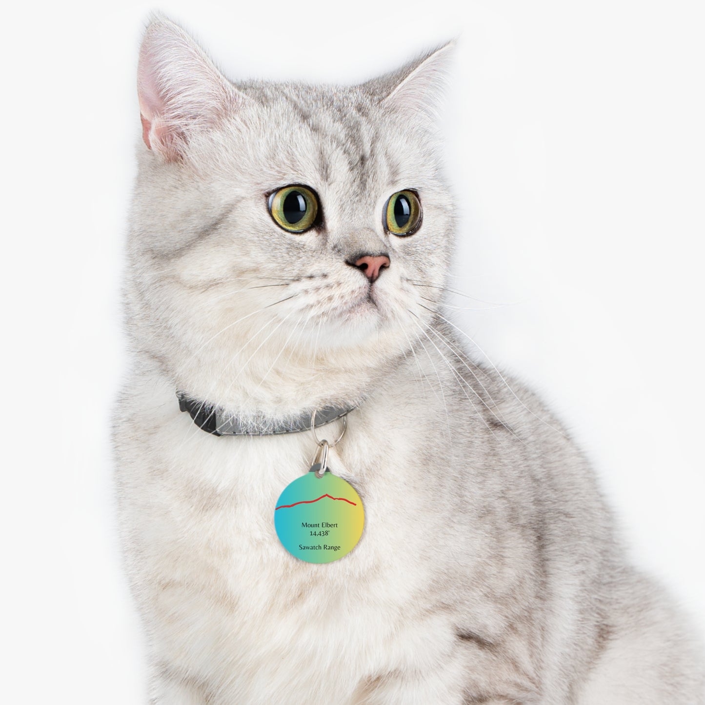 Mount Elbert Pet Tag