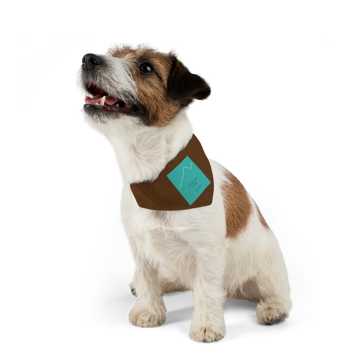 Sunlight Peak 14er Pet Bandana Collar
