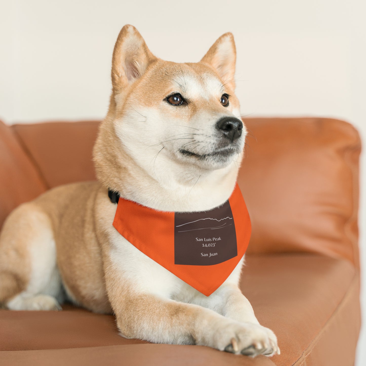 San Luis Peak 14er Pet Bandana Collar
