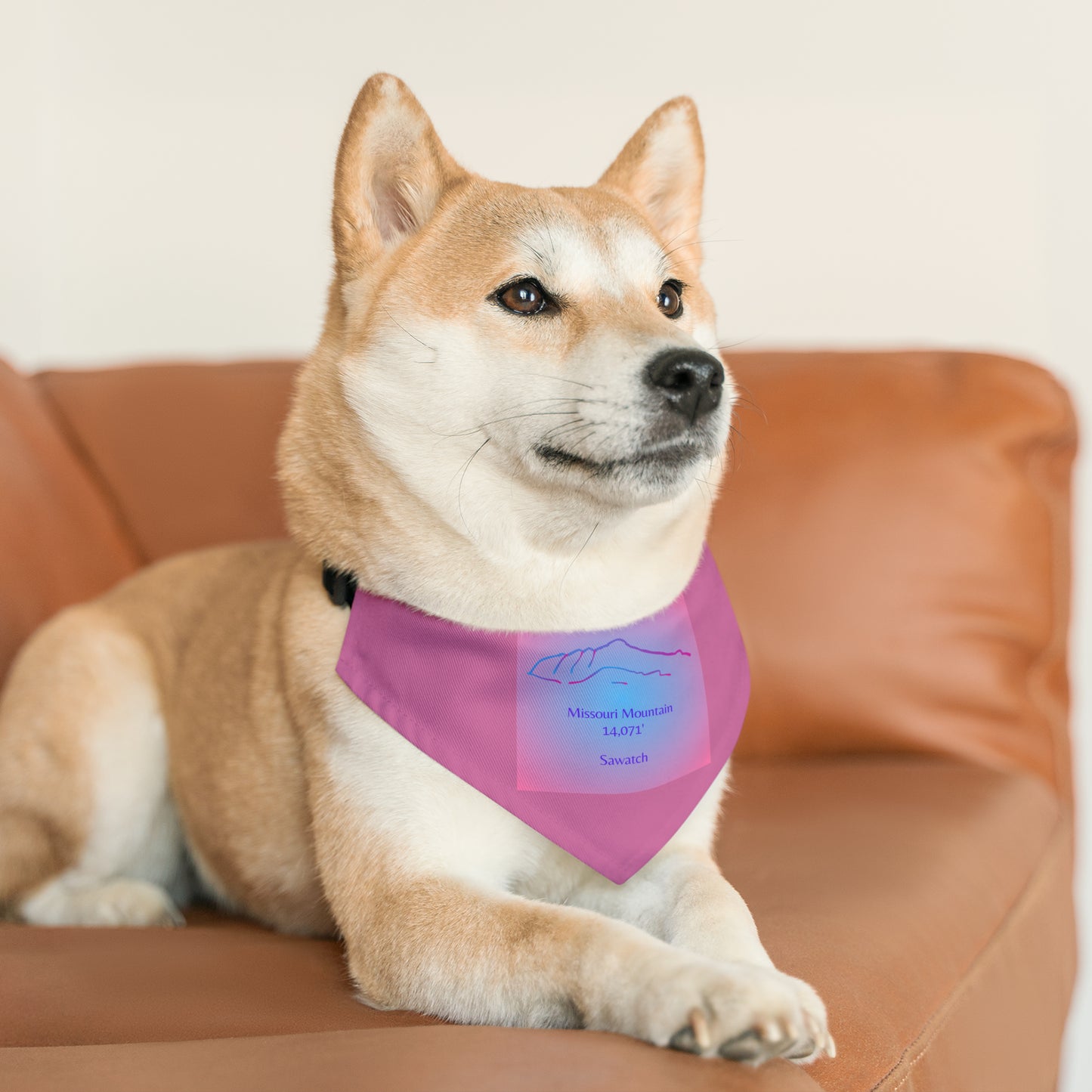 Missouri Mountain 14er Pet Bandana Collar