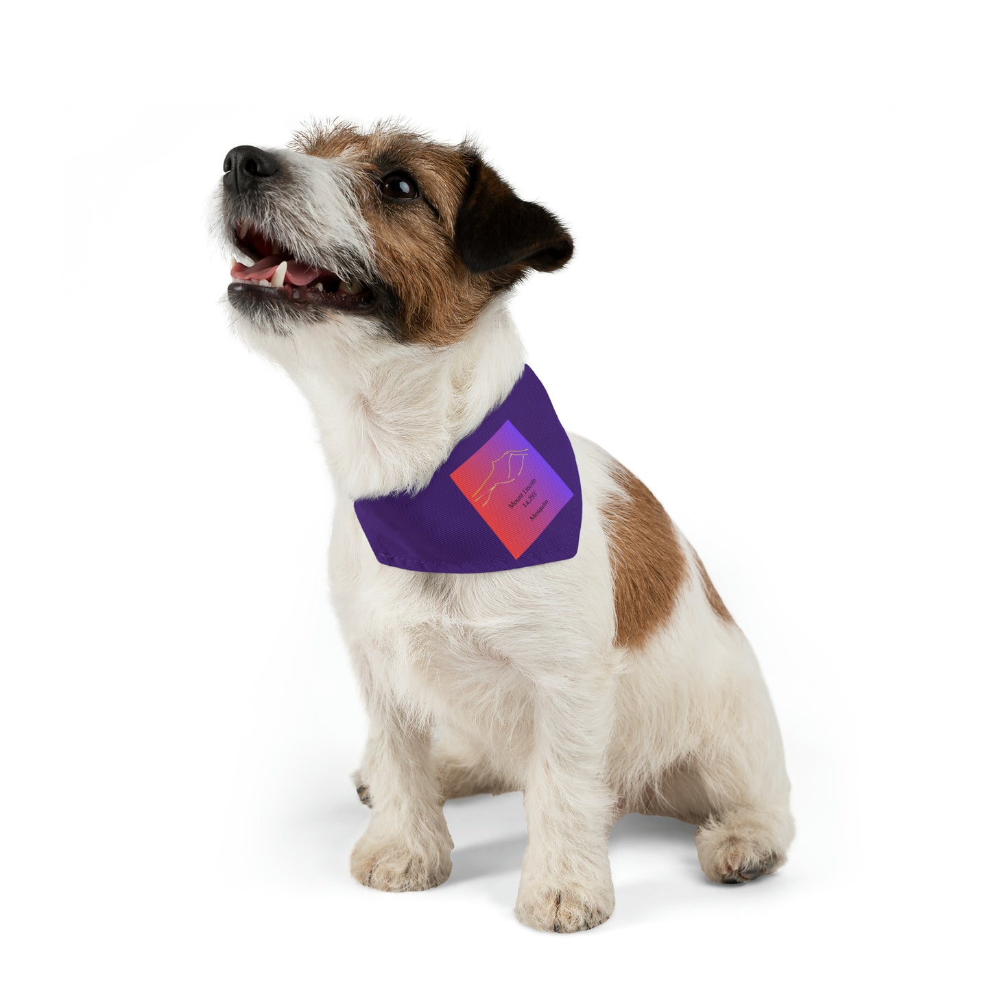 Mount Lincoln 14er Pet Bandana Collar