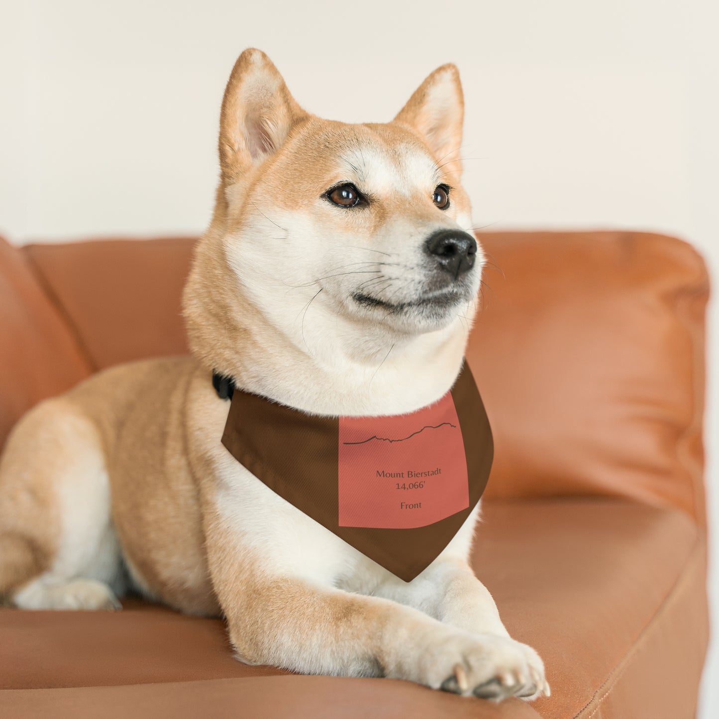 Mount Bierstadt 14er Pet Bandana Collar