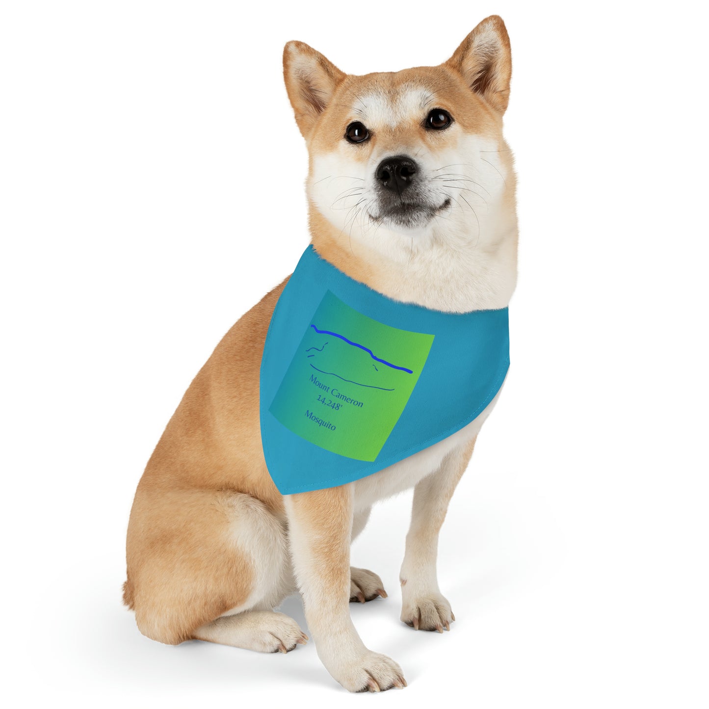 Mount Cameron 14er Pet Bandana Collar