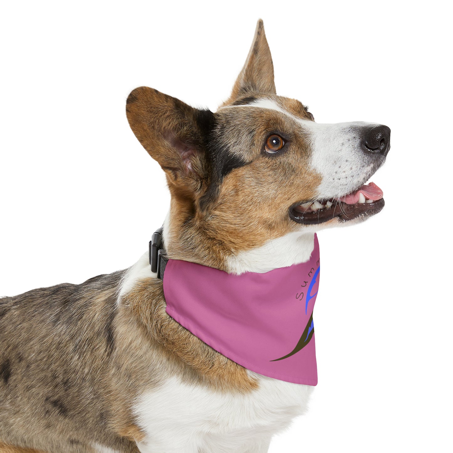 Summit Life Pet Bandana Collar - Pink