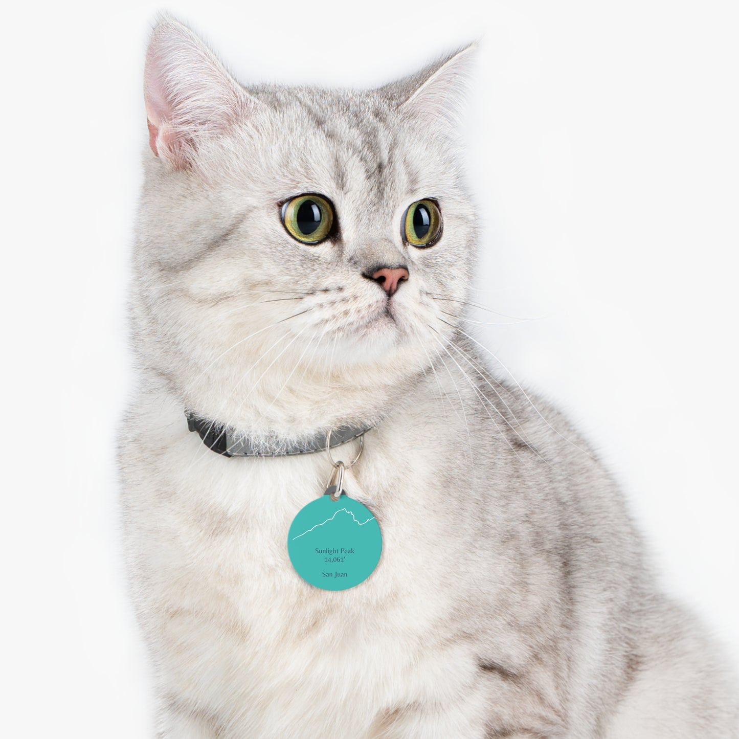 Sunlight Peak Pet Tag