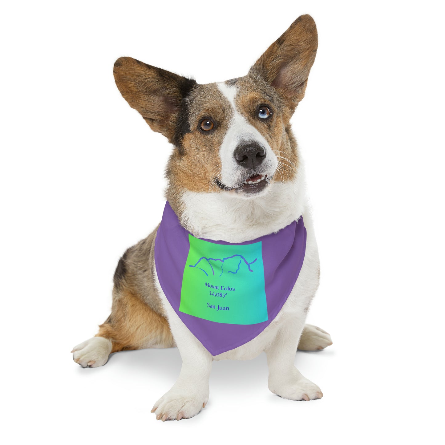 Mount Eolus 14er Pet Bandana Collar
