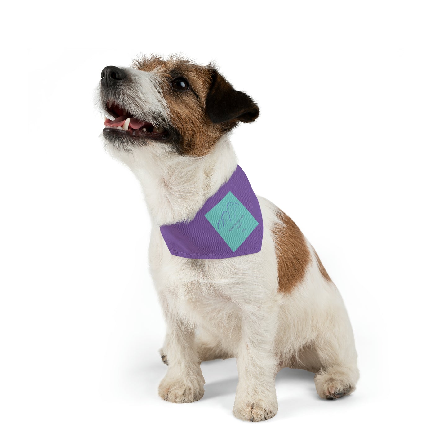 North Maroon Peak 14er Pet Bandana Collar