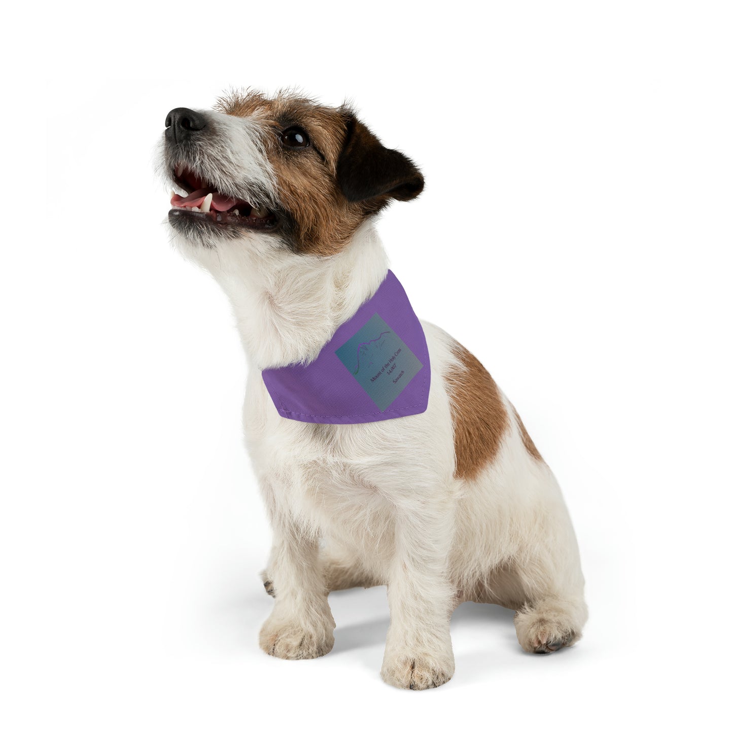 Mount of the Holy Cross 14er Pet Bandana Collar