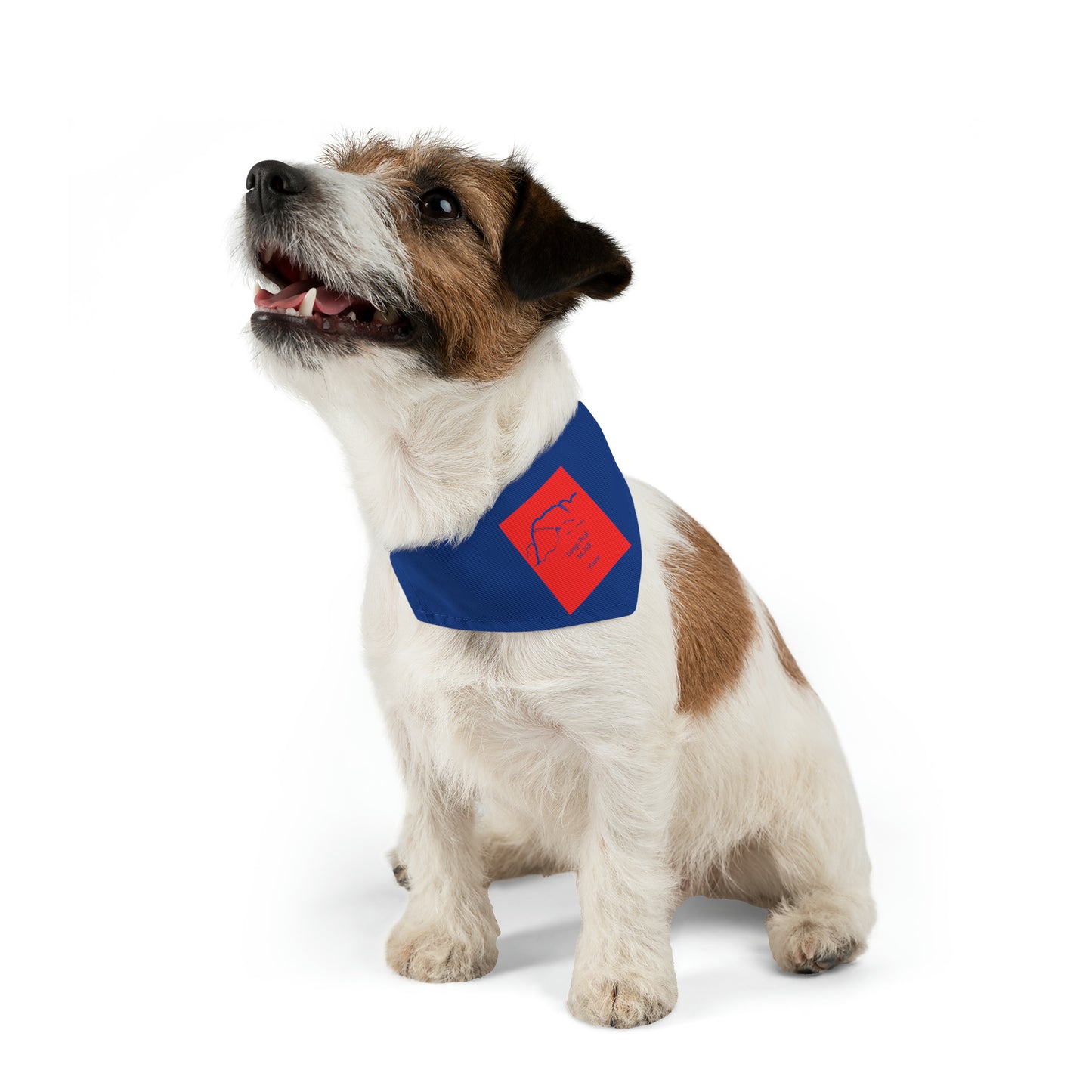 Longs Peak 14er Pet Bandana Collar