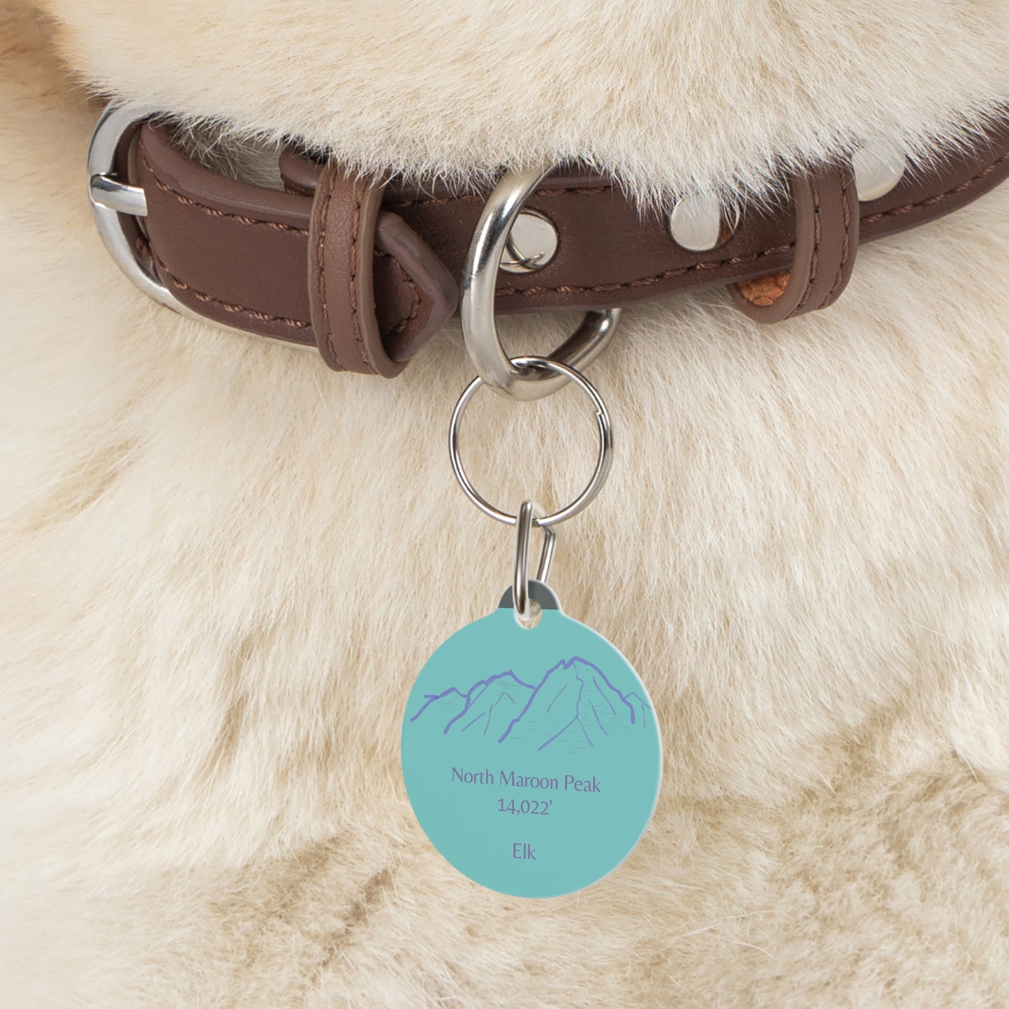 North Maroon Peak Pet Tag