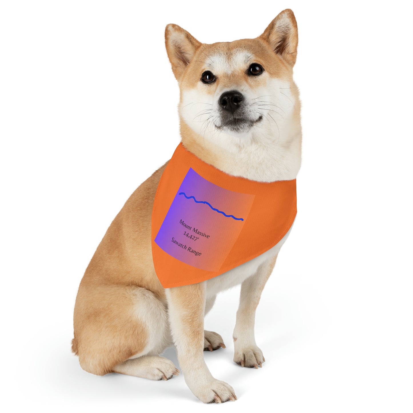 Mount Massive 14er Pet Bandana Collar