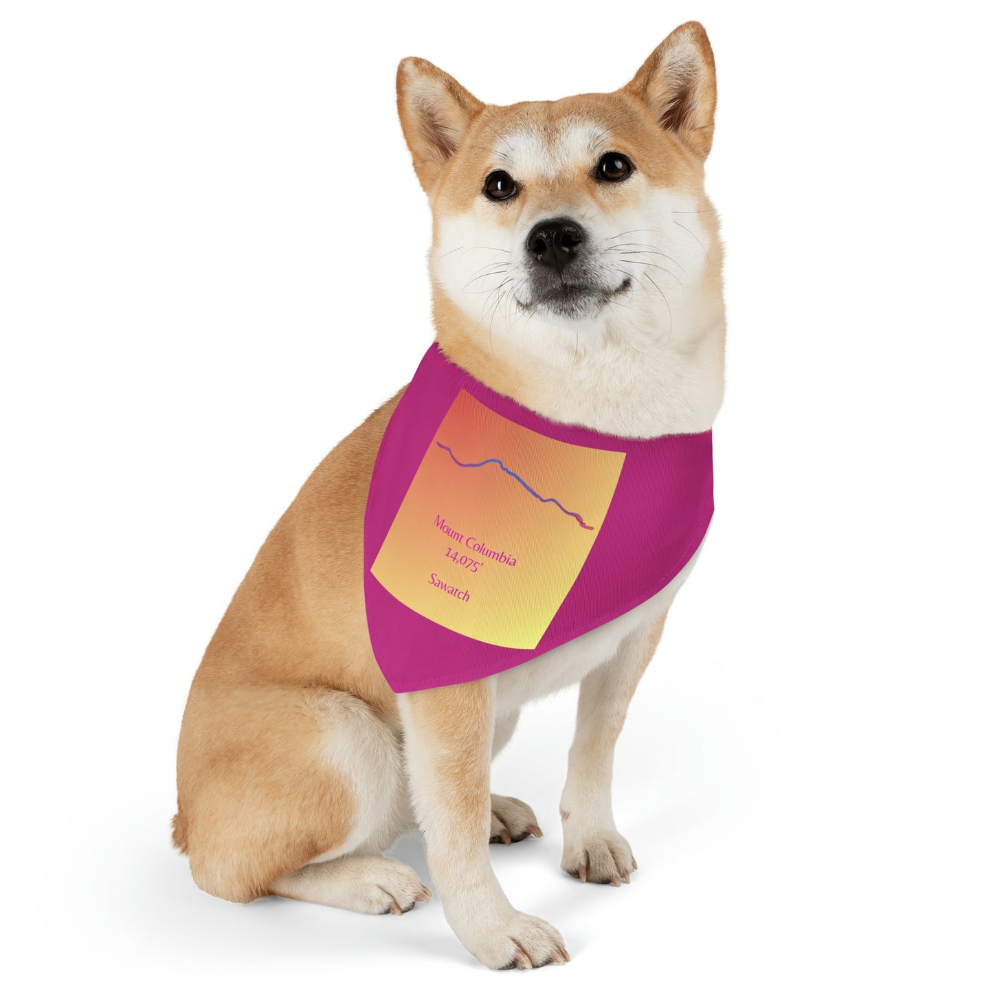 Mount Columbia 14er Pet Bandana Collar
