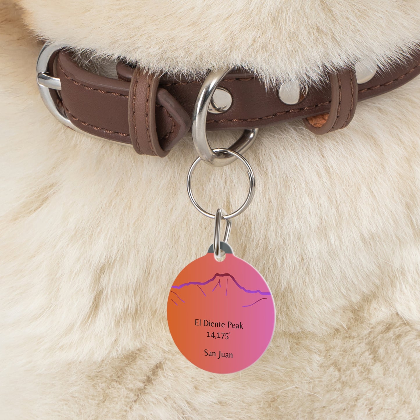 El Diente Peak Pet Tag
