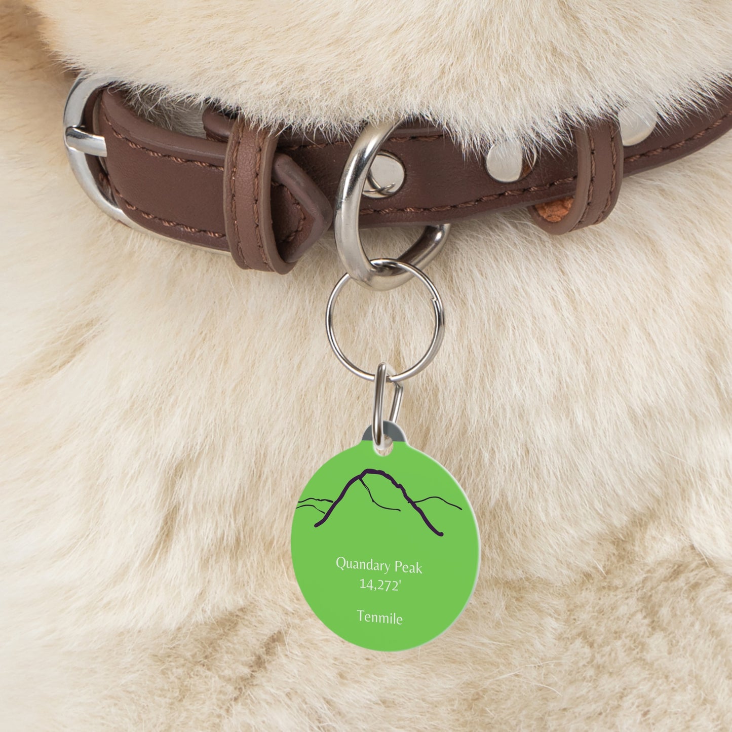 Quandary Peak Pet Tag