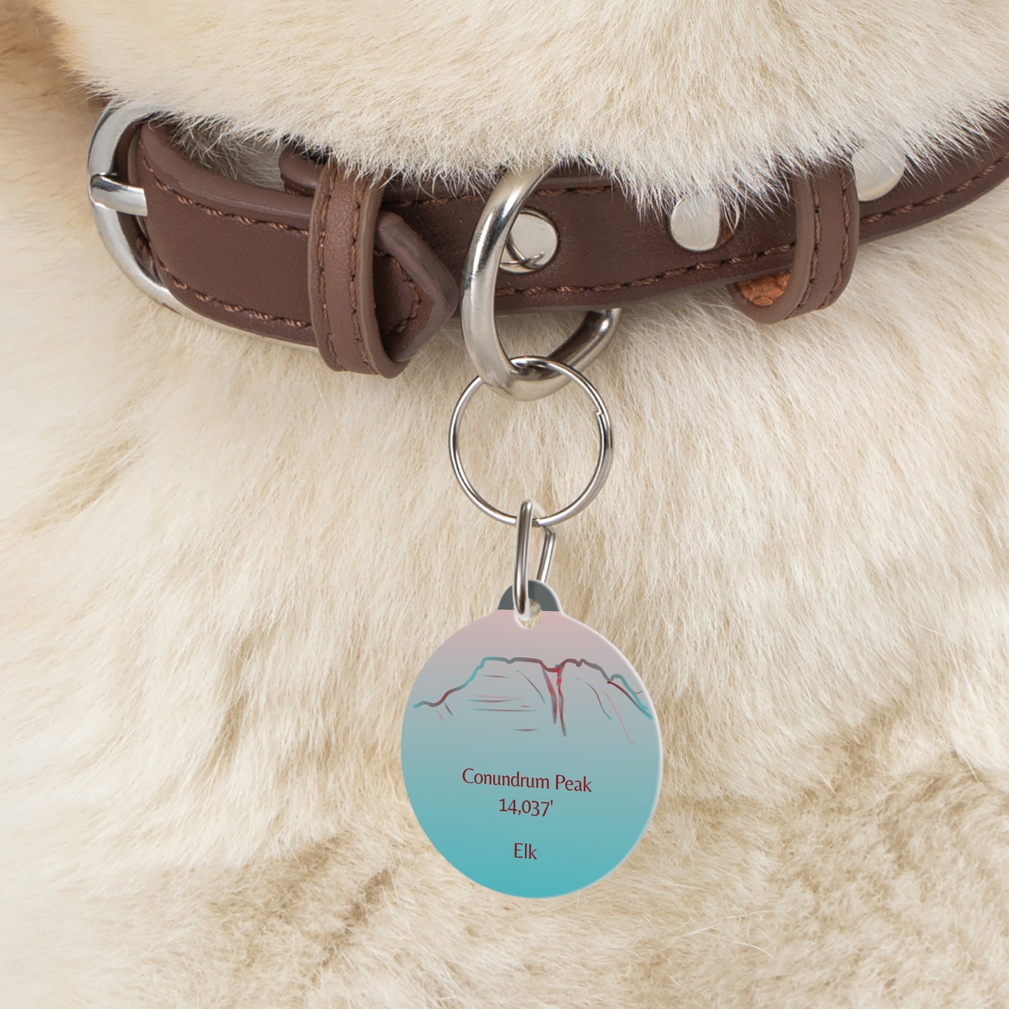 Conundrum Peak Pet Tag