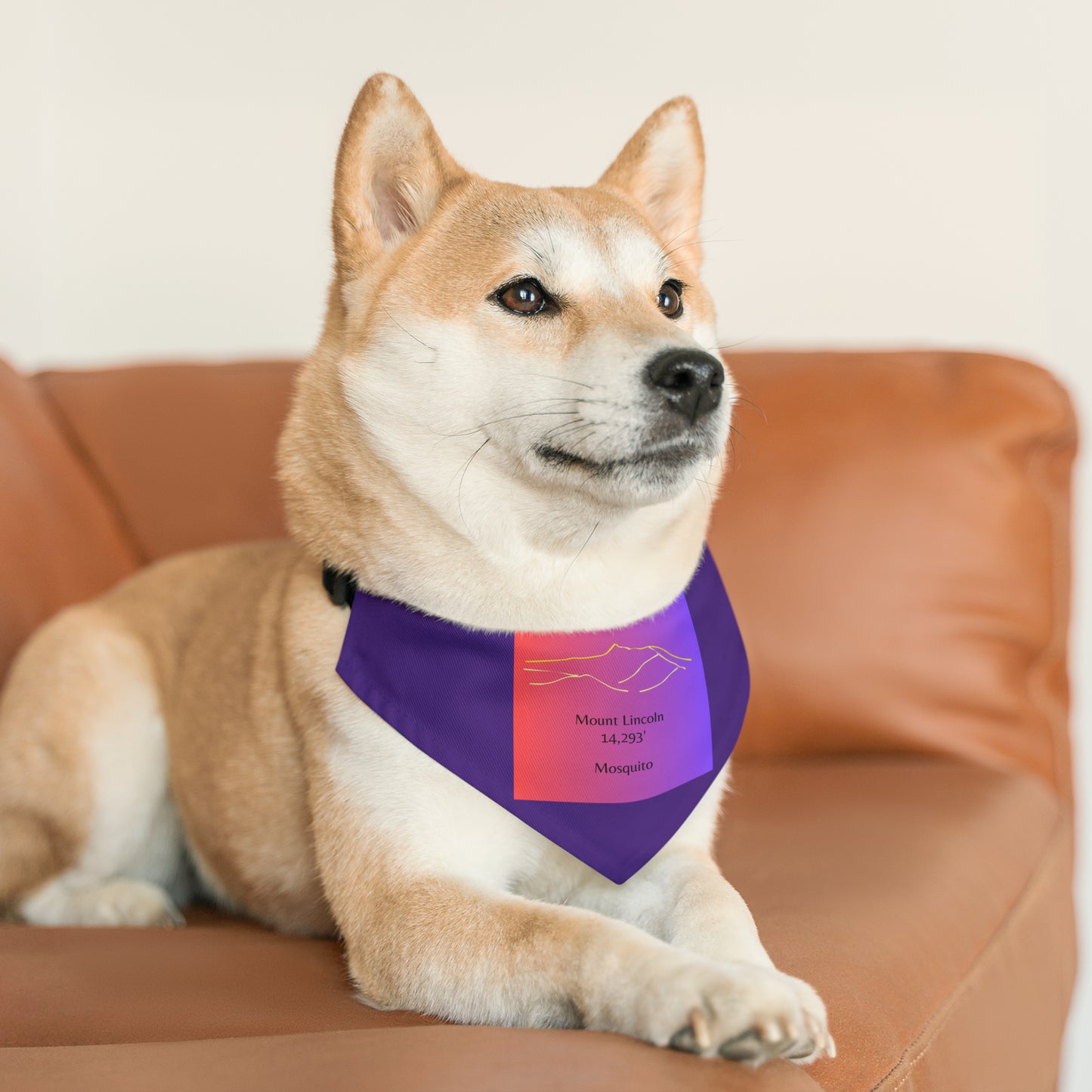 Mount Lincoln 14er Pet Bandana Collar