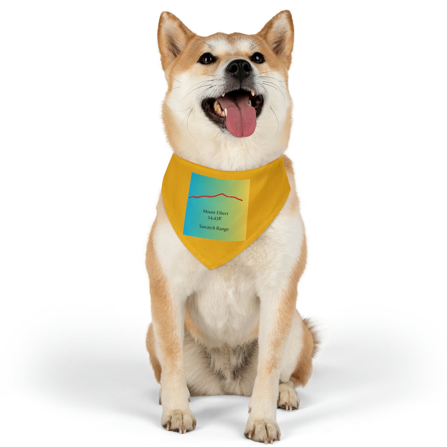Mount Elbert 14er Pet Bandana Collar