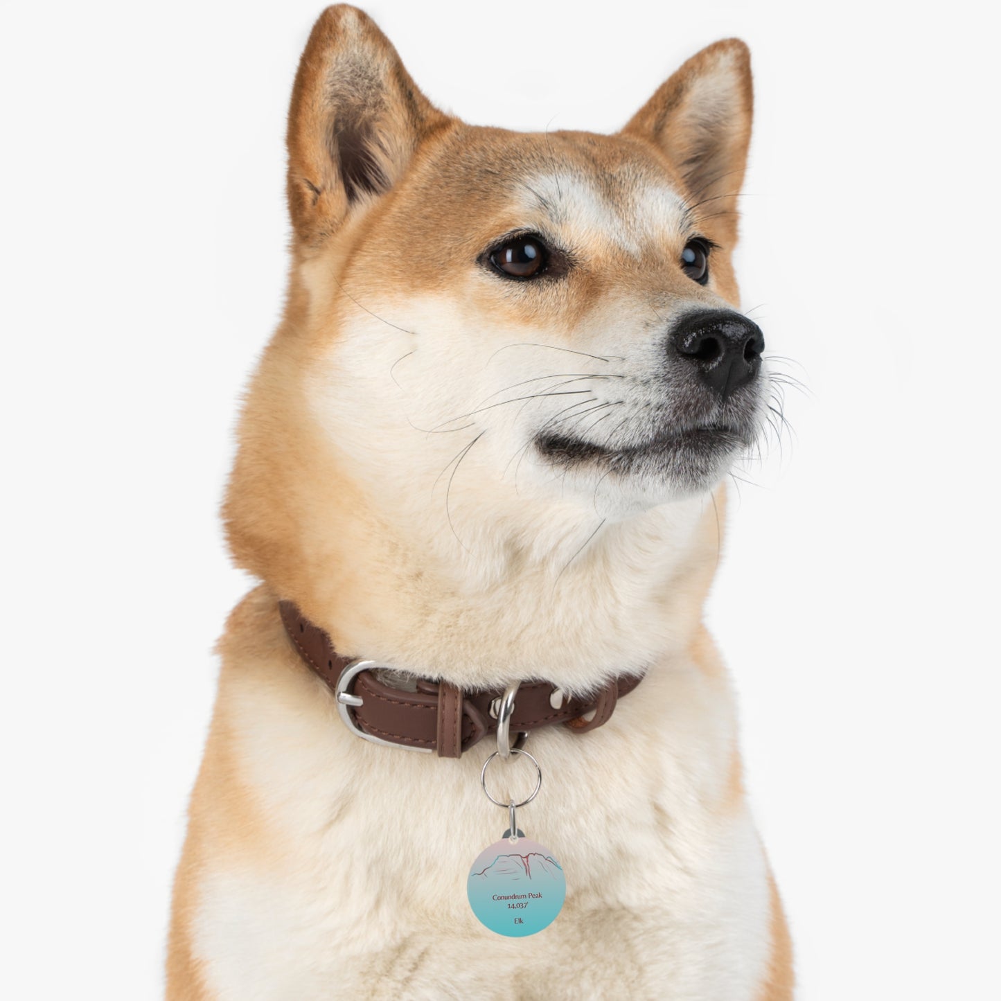 Conundrum Peak Pet Tag