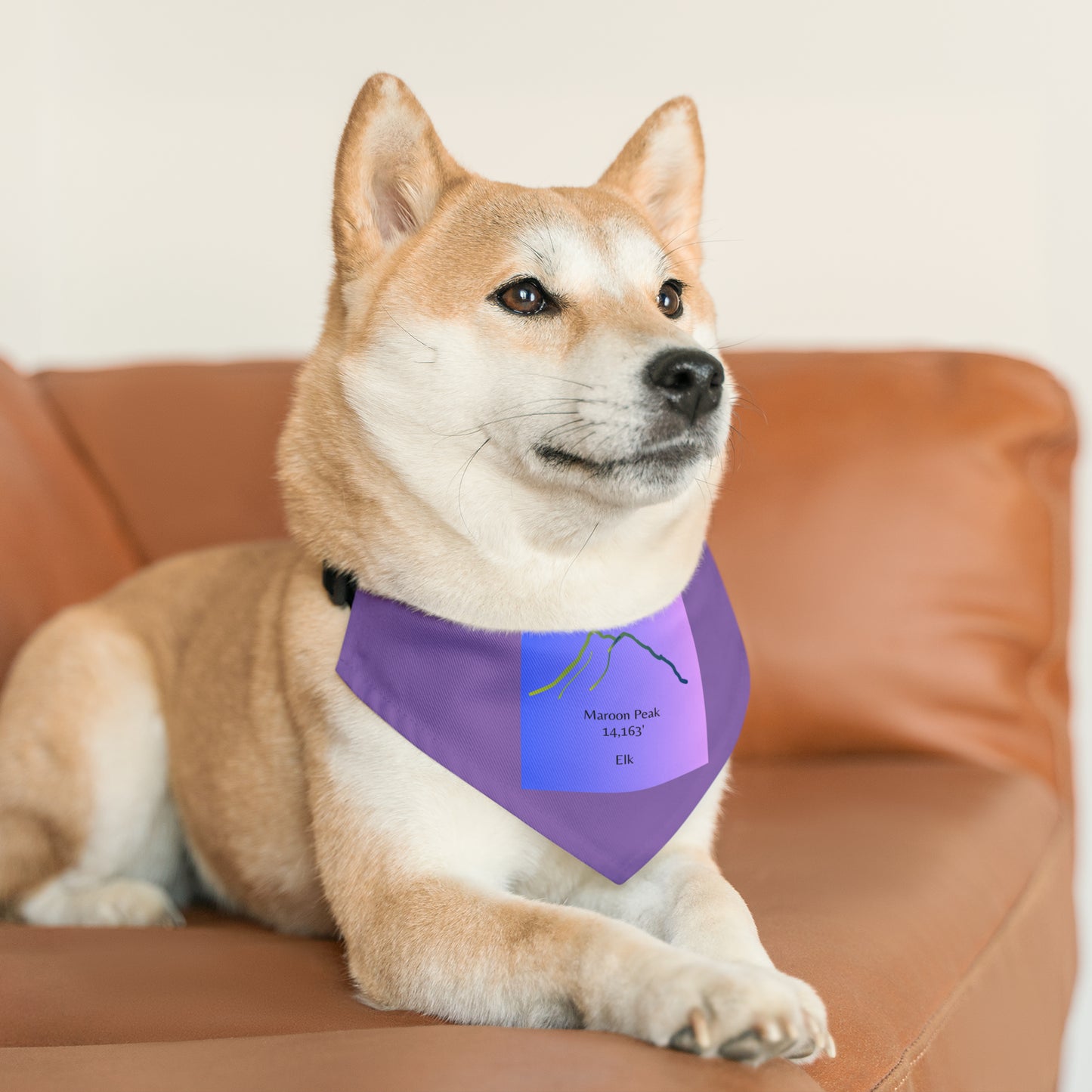 Maroon Peak 14er Pet Bandana Collar