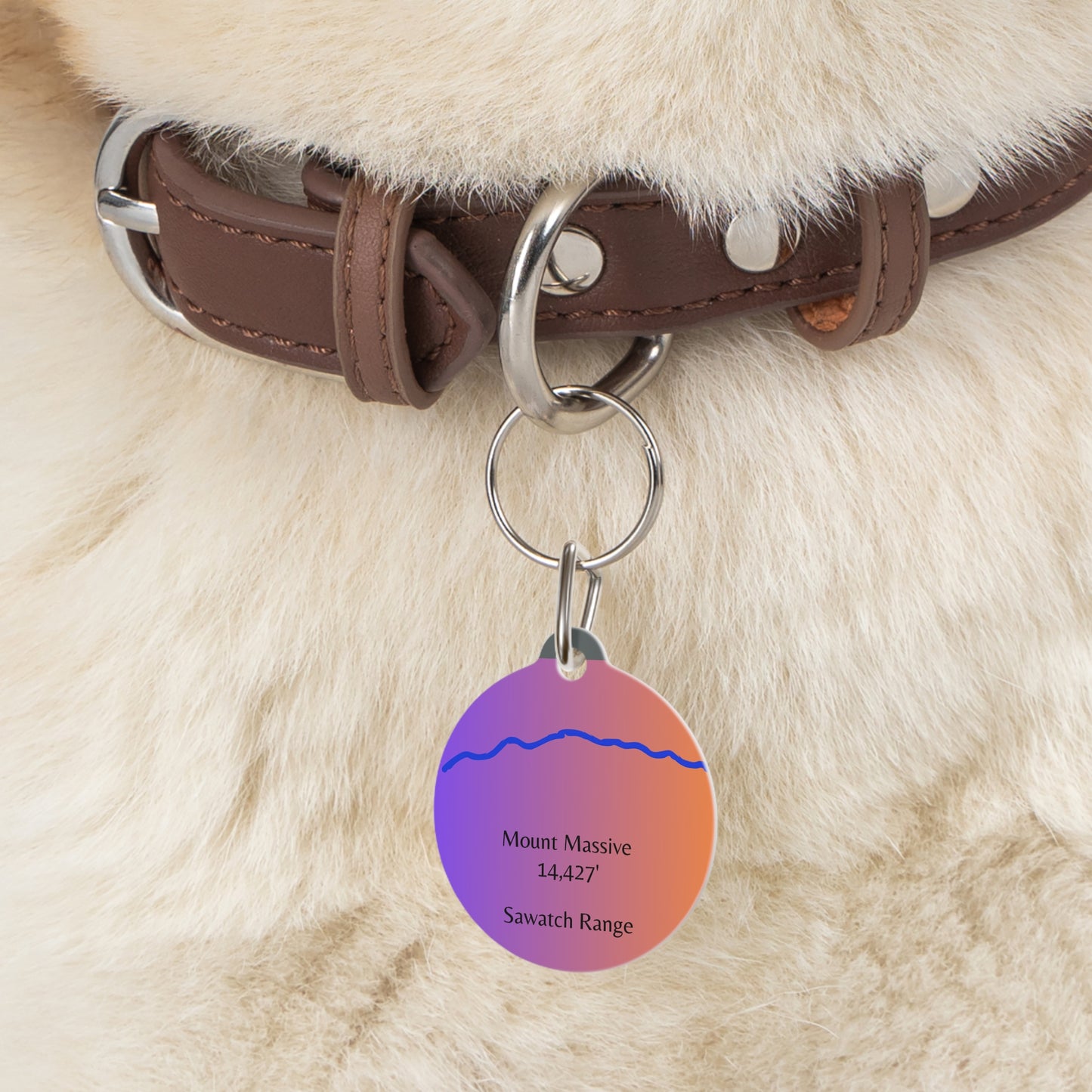 Mount Massive Pet Tag