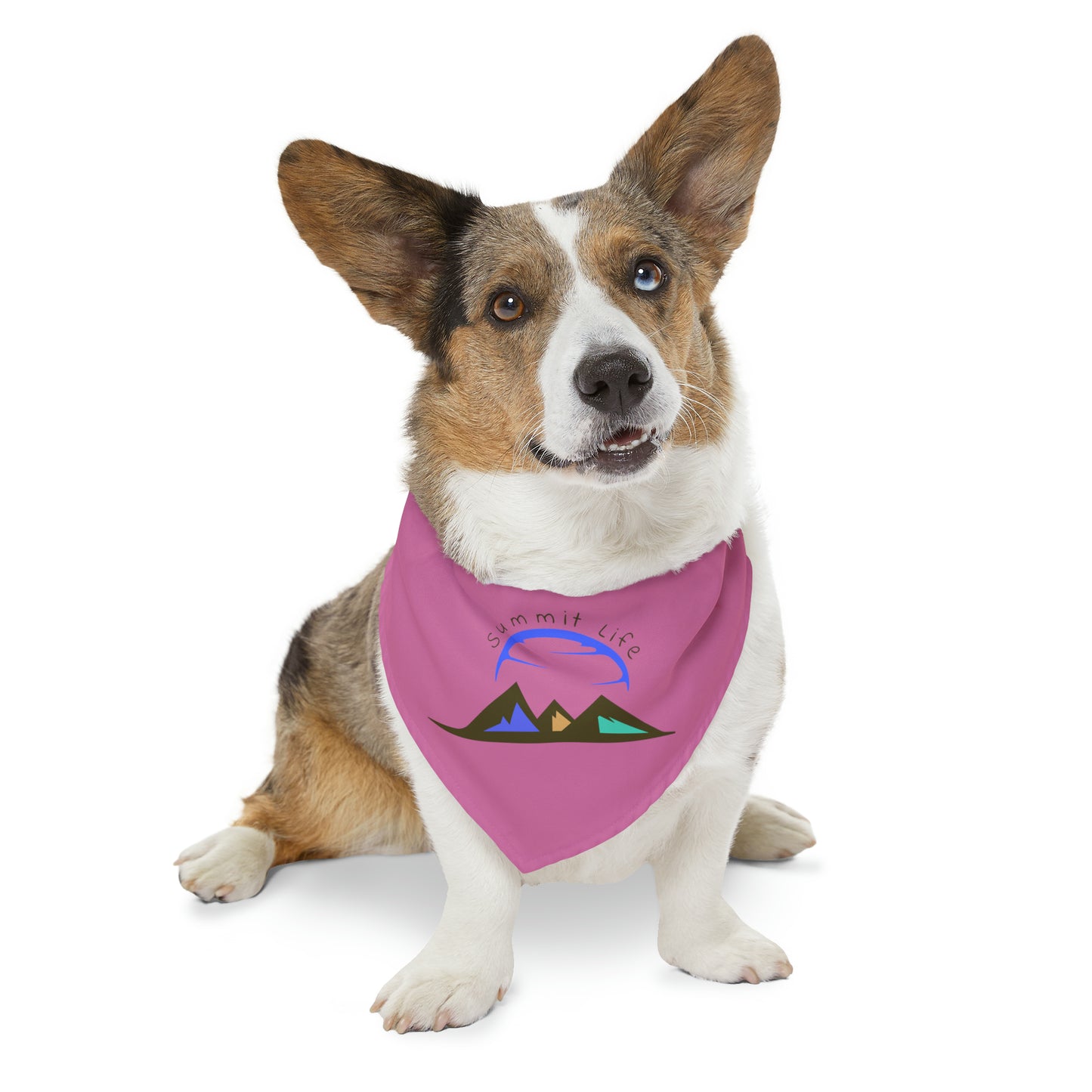 Summit Life Pet Bandana Collar - Pink