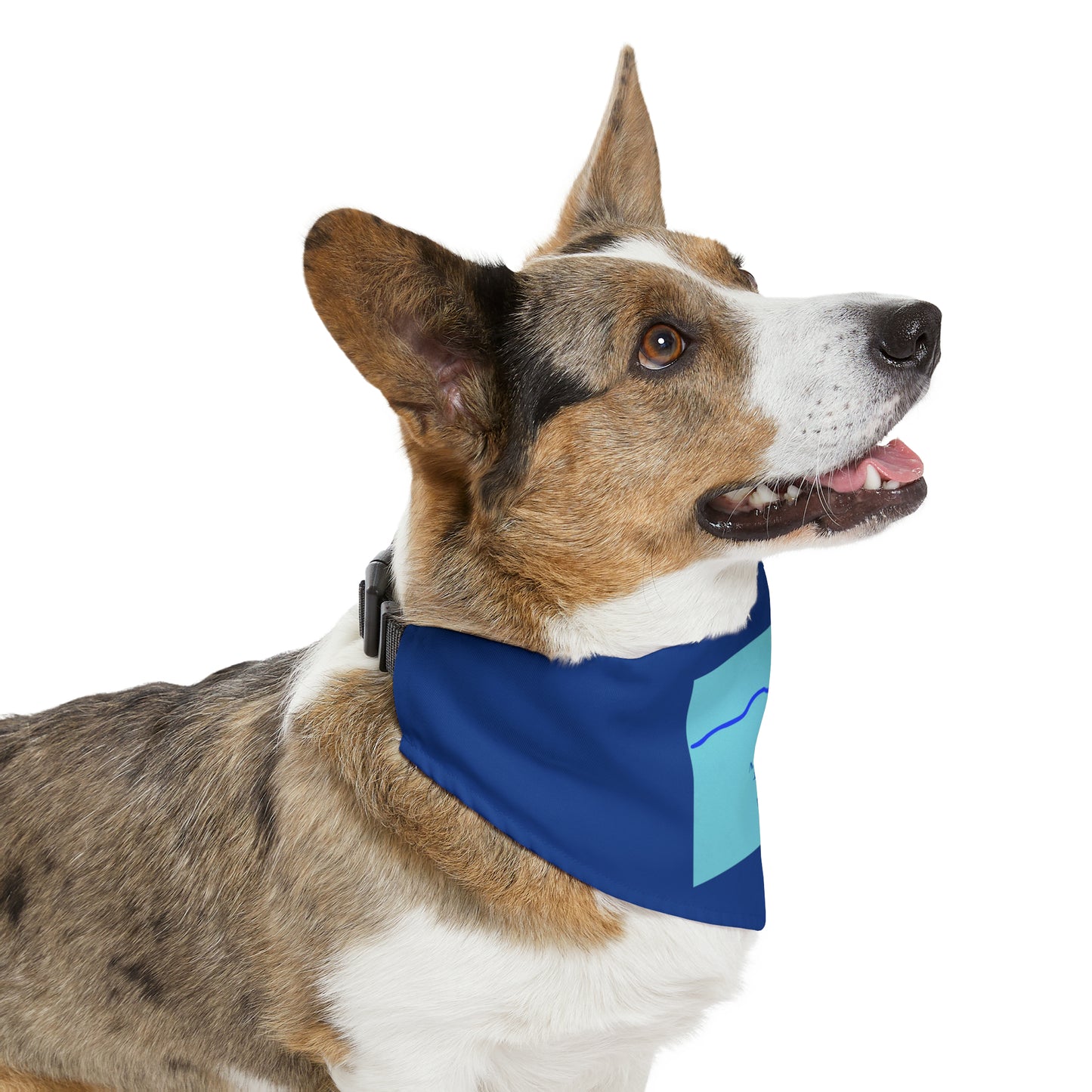 Mount Evans 14er Pet Bandana Collar
