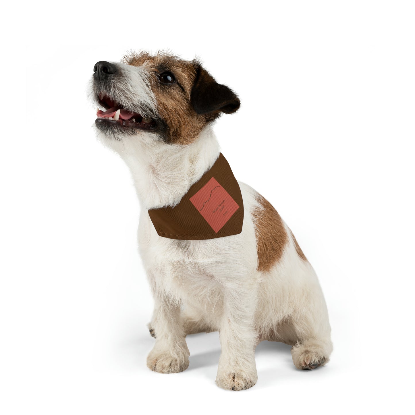 Mount Bierstadt 14er Pet Bandana Collar