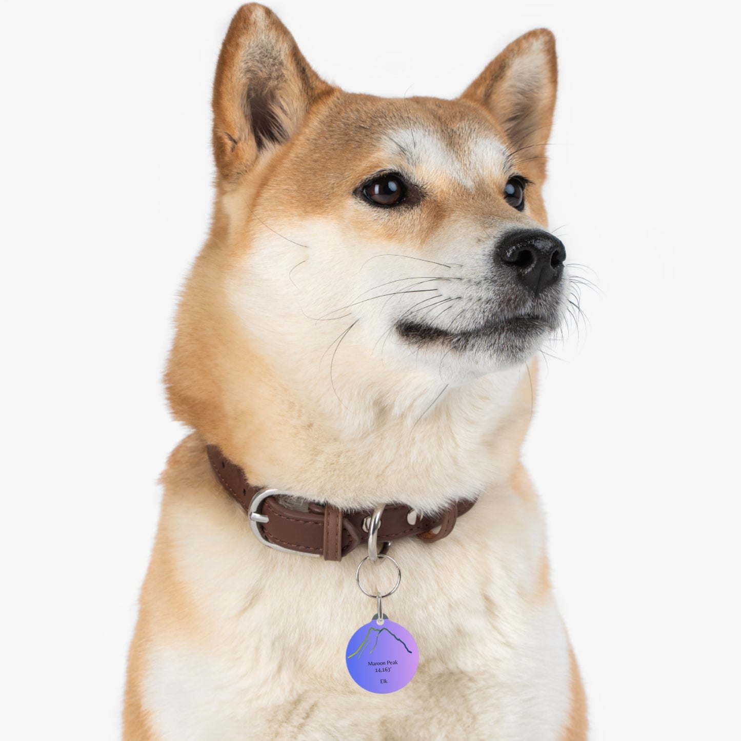 Maroon Peak Pet Tag