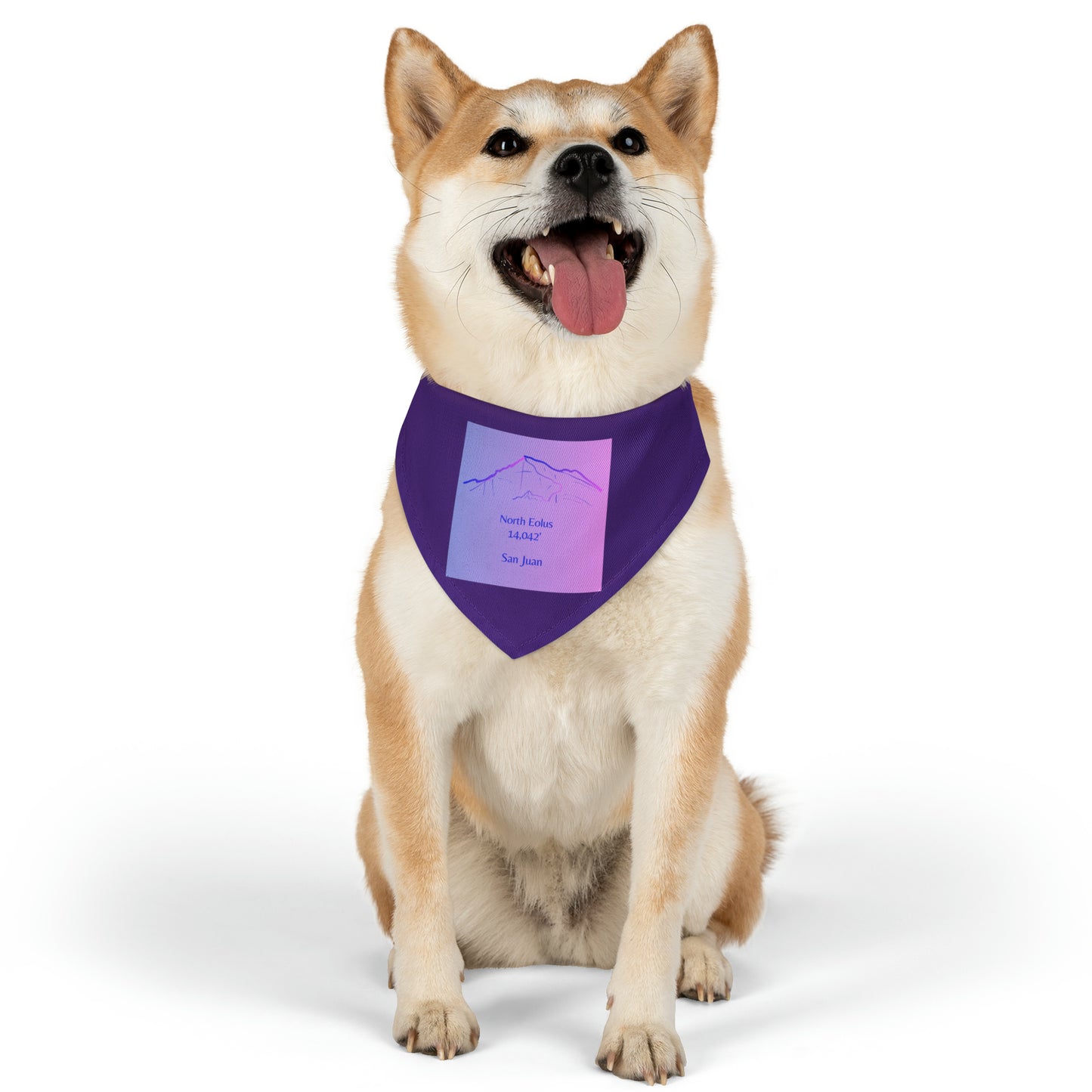 North Eolus 14er Pet Bandana Collar