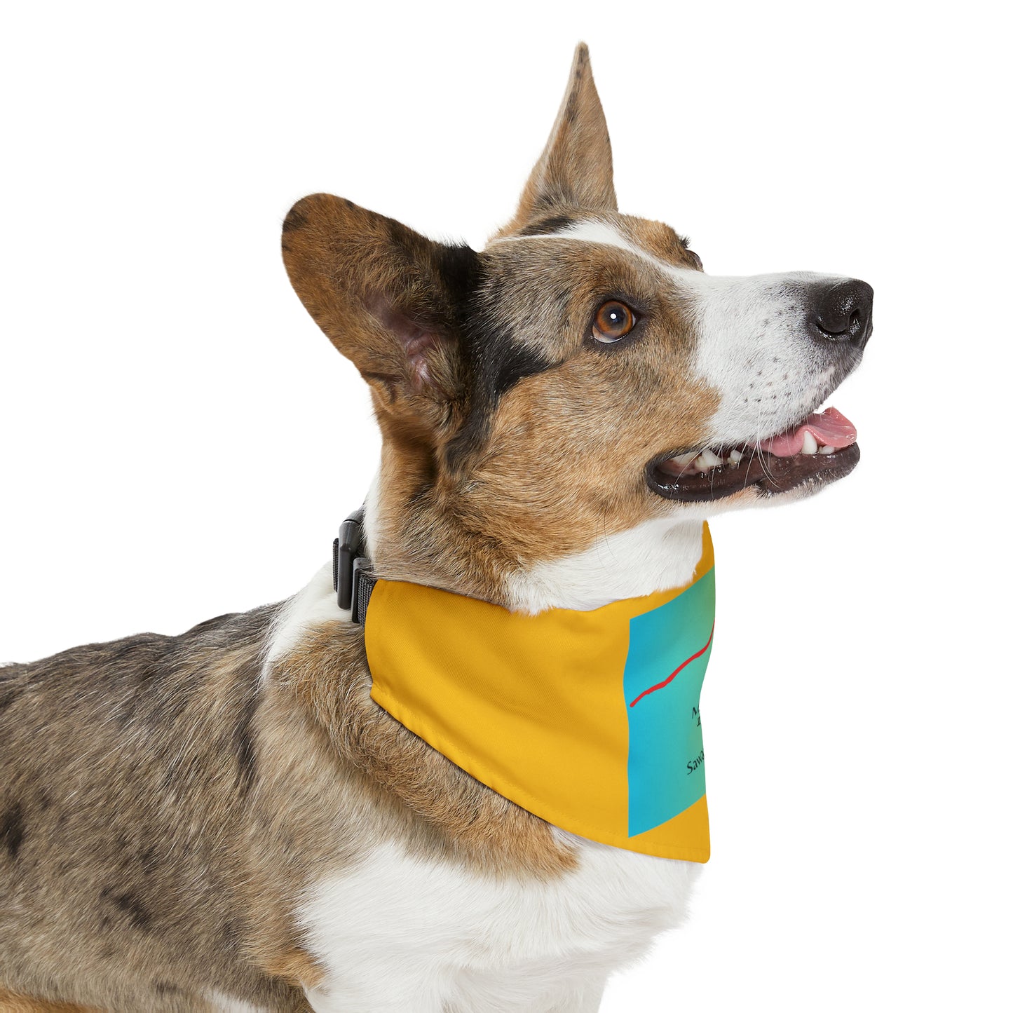 Mount Elbert 14er Pet Bandana Collar