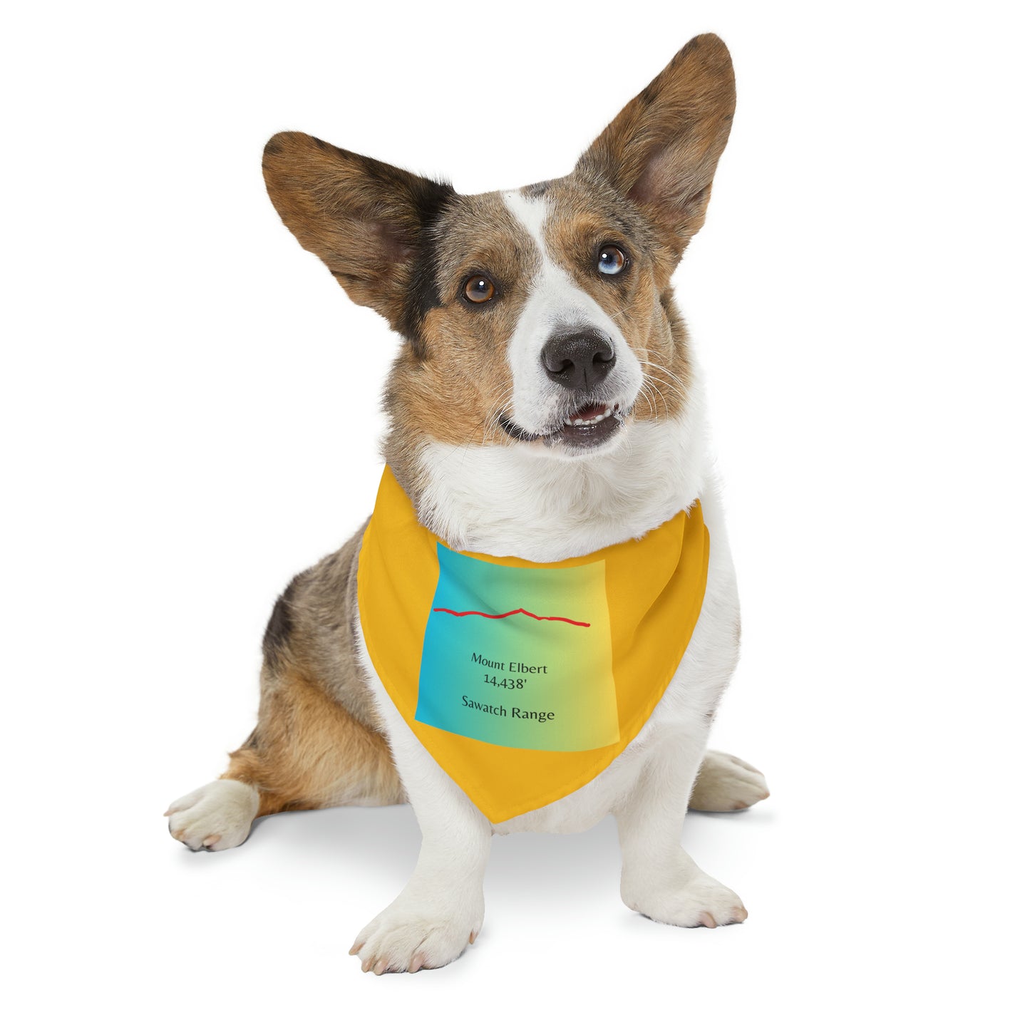 Mount Elbert 14er Pet Bandana Collar